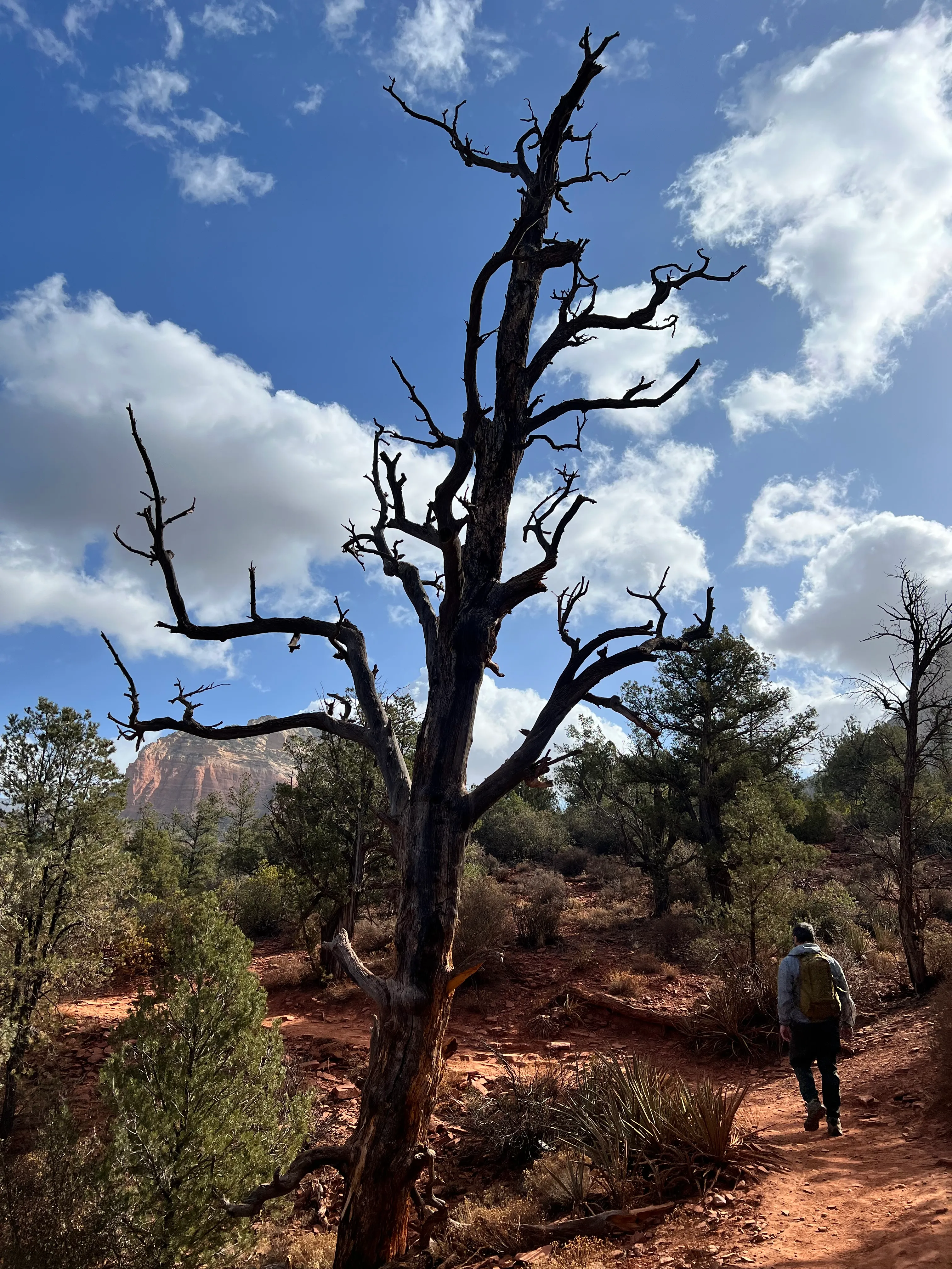 Devil's Bridge Trail
