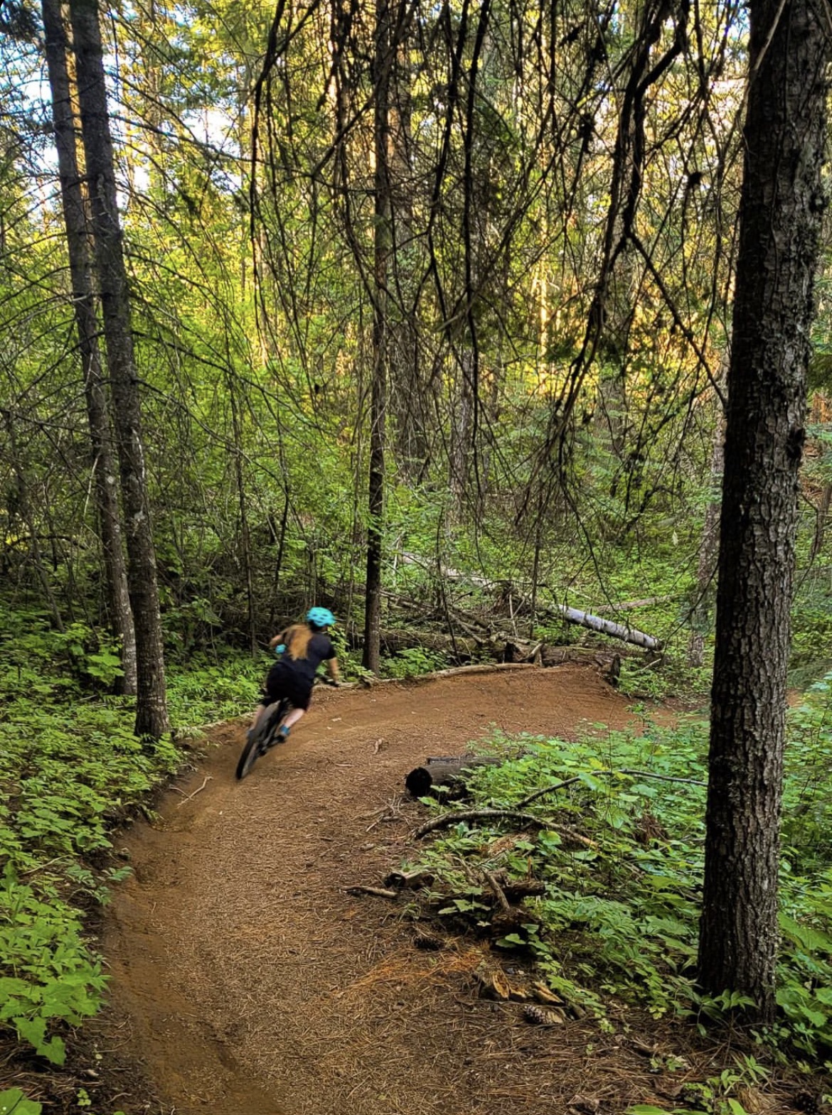 Trail 257