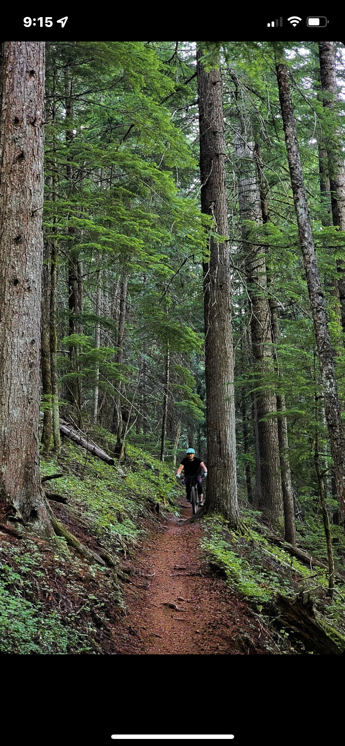 Trail 257