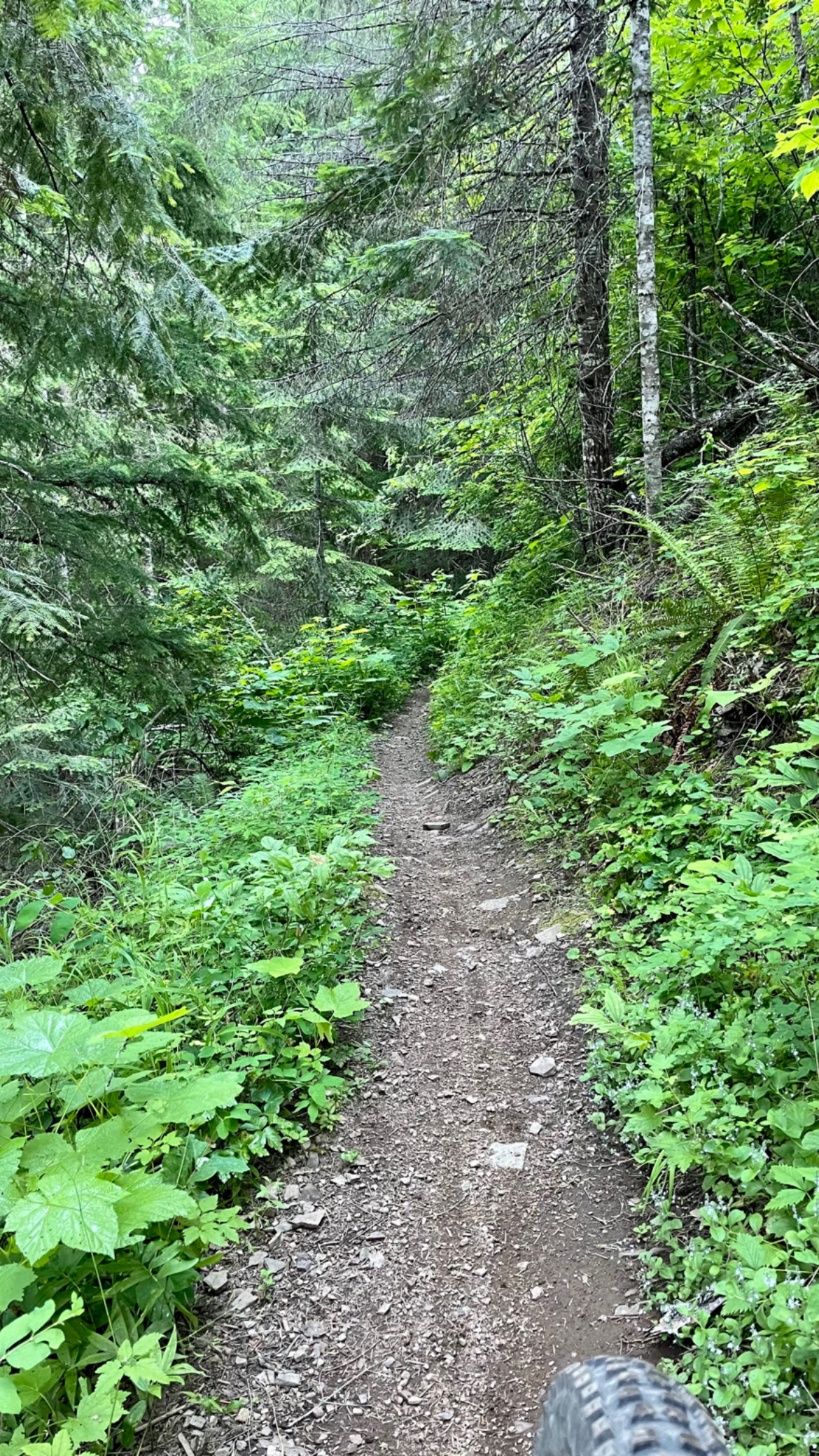 Trail 257
