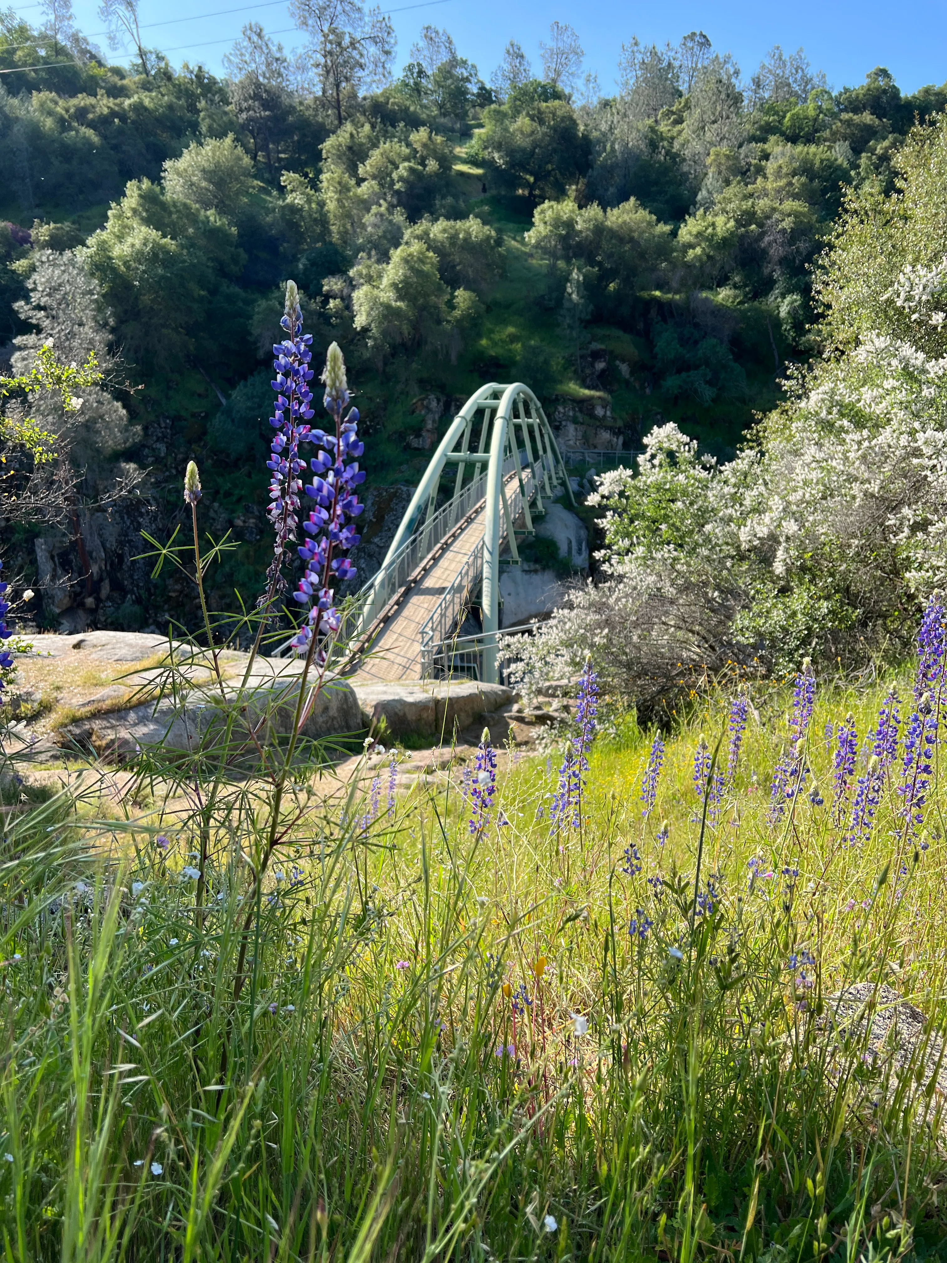 San Joaquin River Gorge Trail