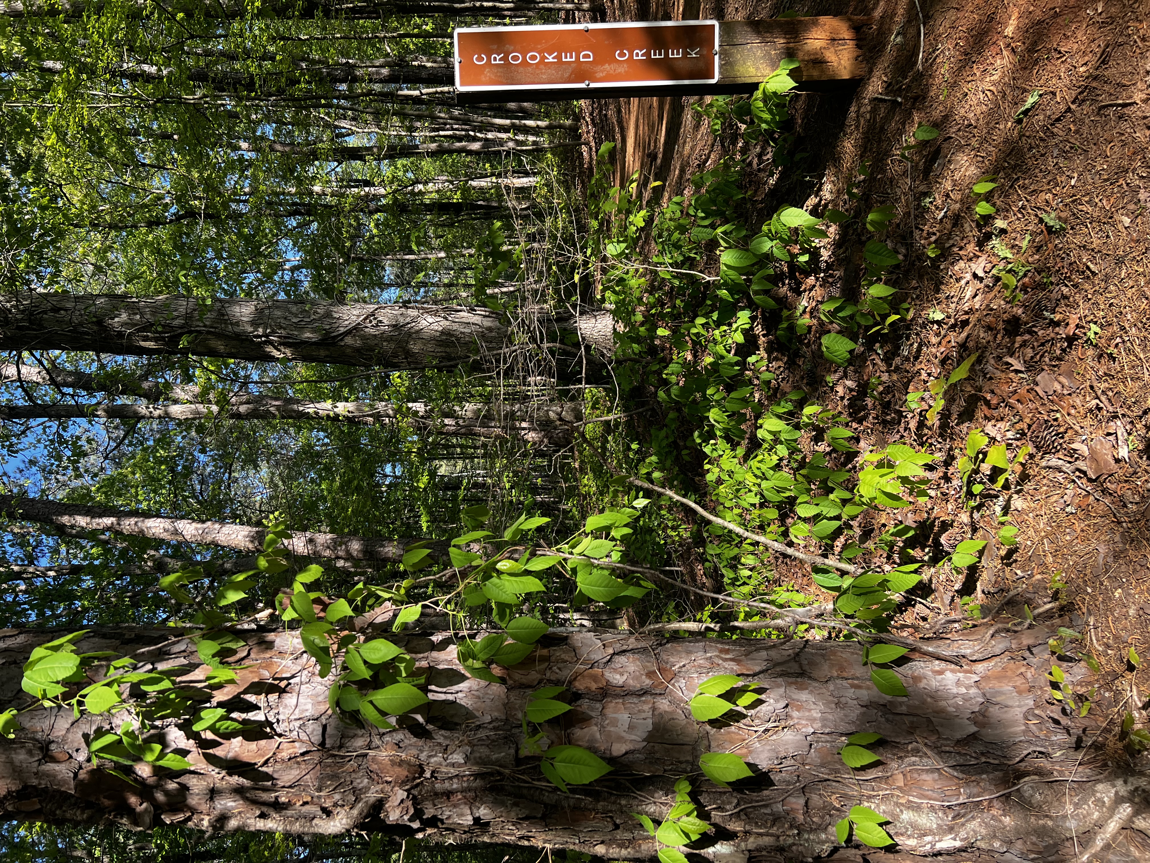 Reynolds Nature Preserve Trail