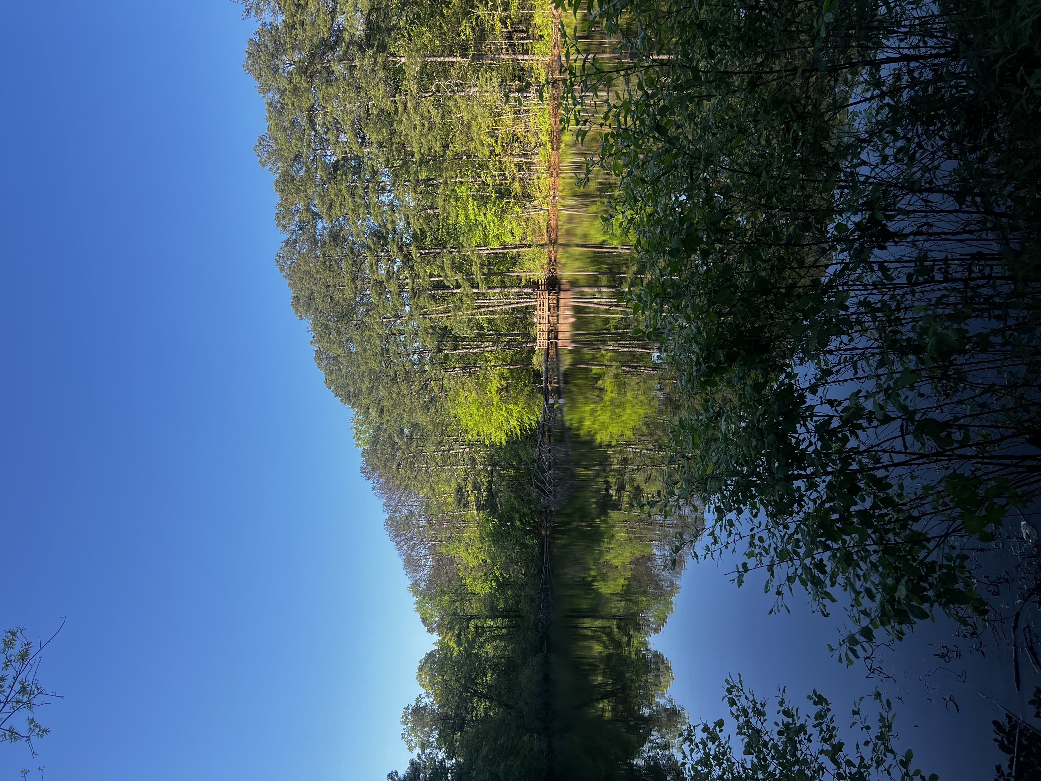 Reynolds Nature Preserve Trail
