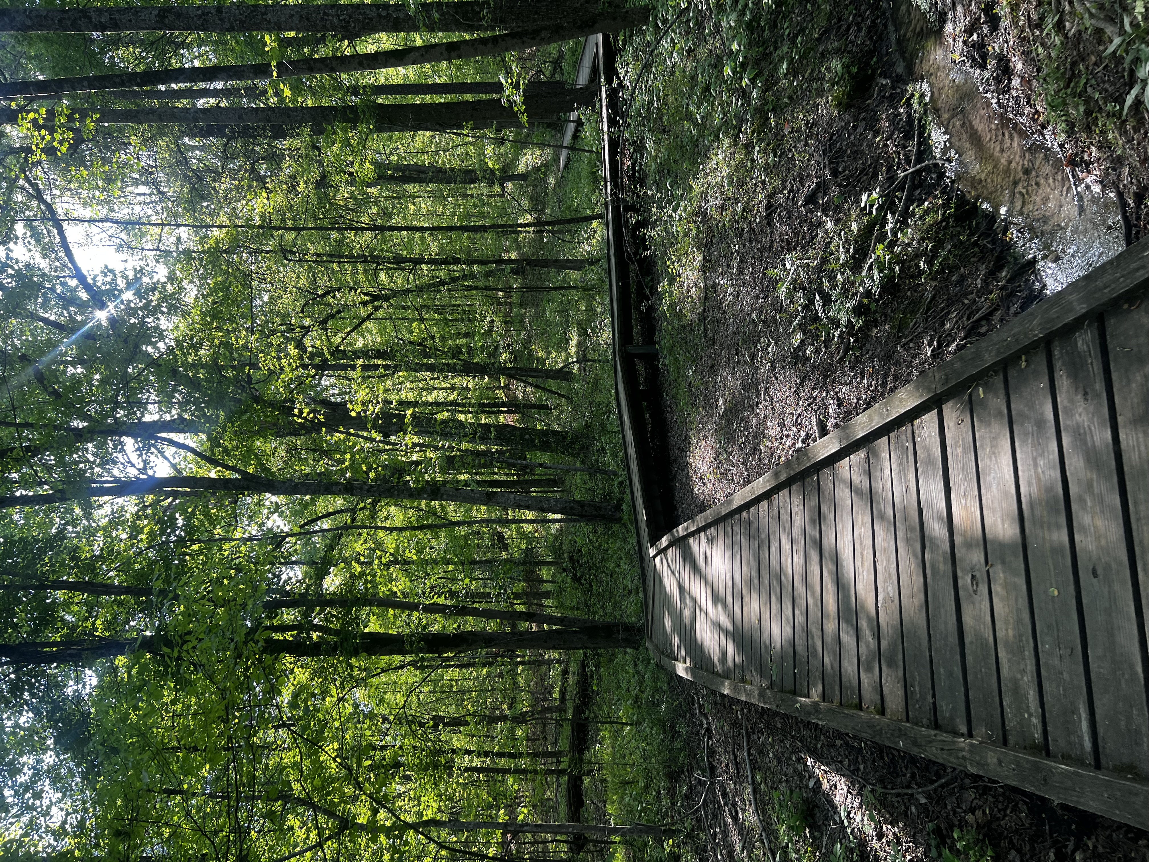 Reynolds Nature Preserve Trail