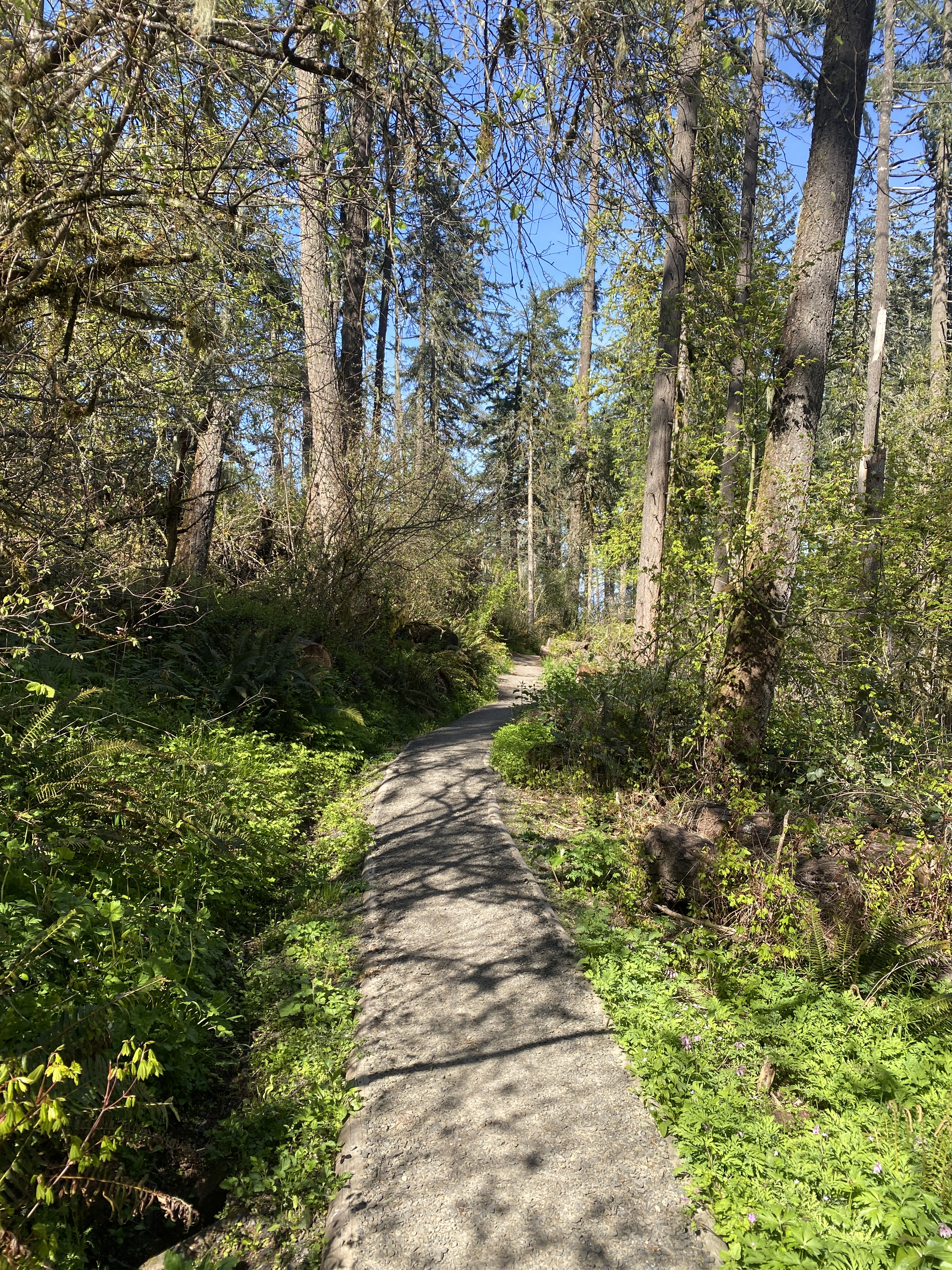 Spencer Butte from Fox Hollow Road