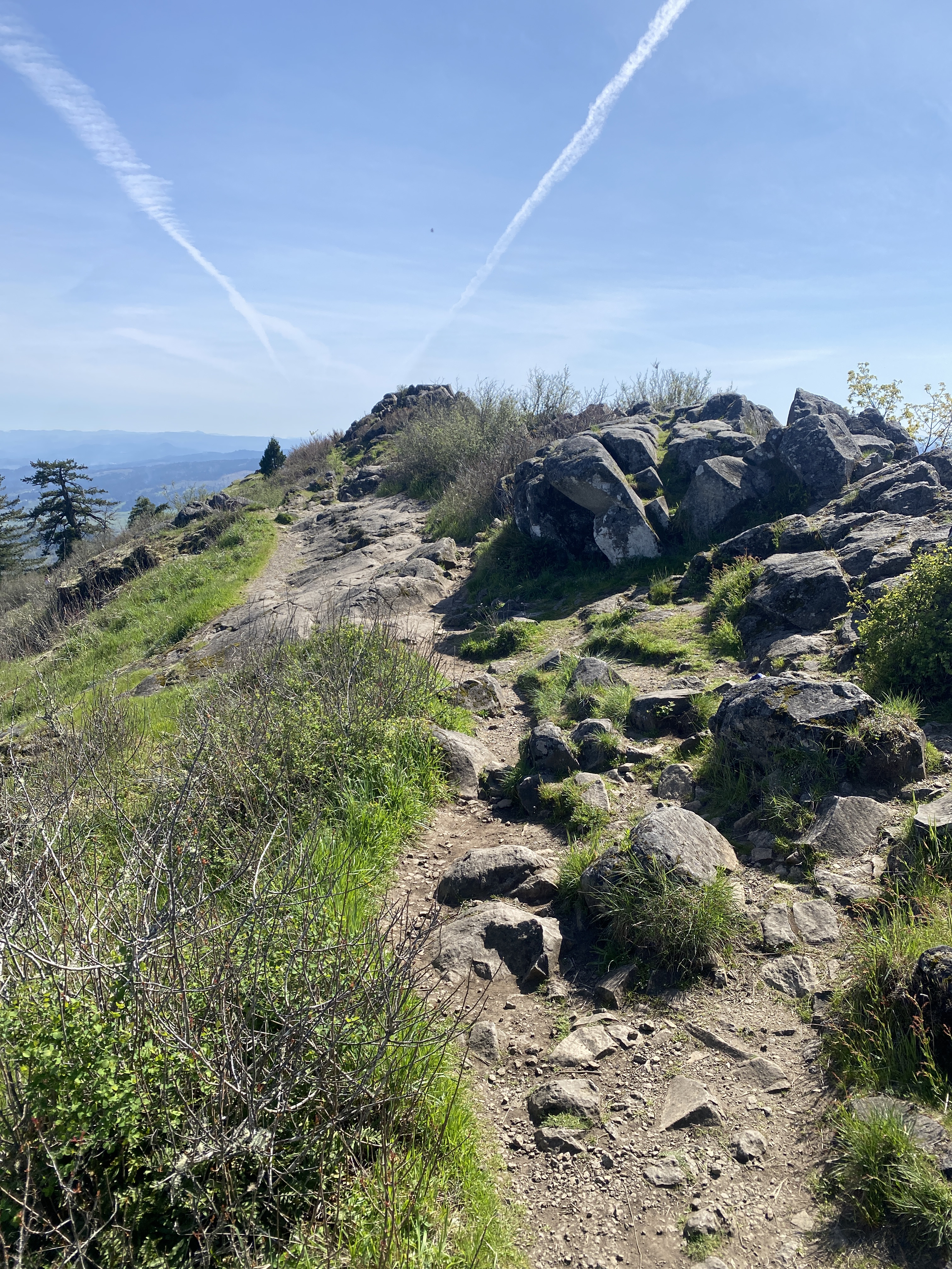 Spencer Butte from Fox Hollow Road