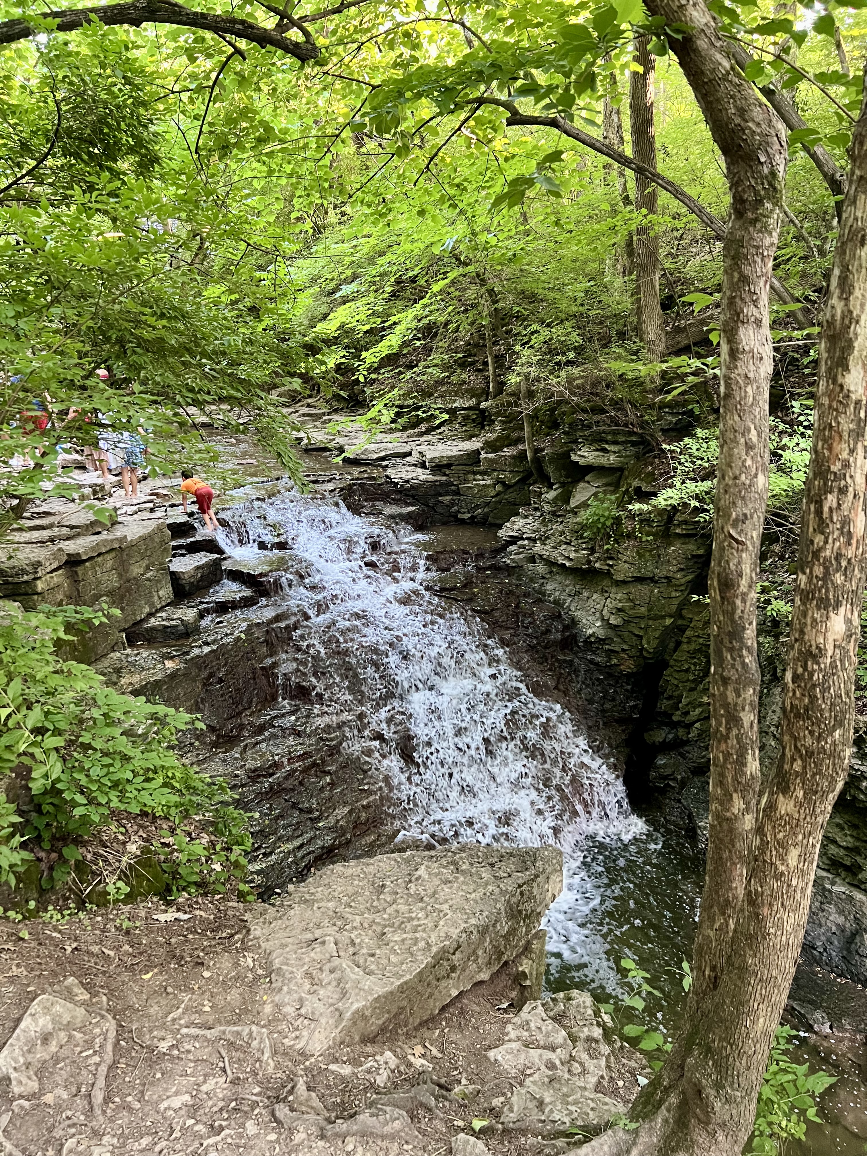 Photograph Indian Run Falls