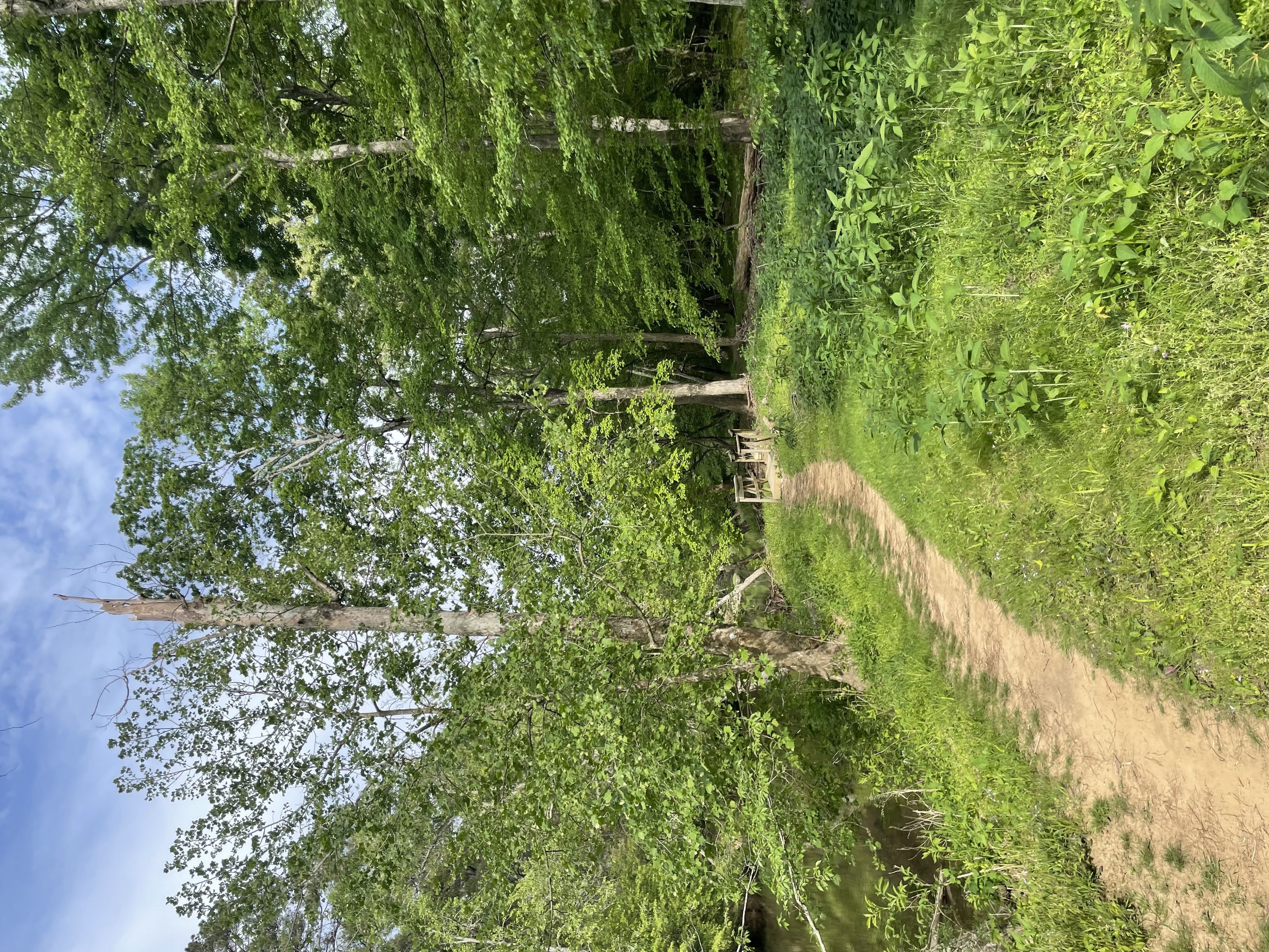 Cabe Lands Trail and Eno Quarry Loop