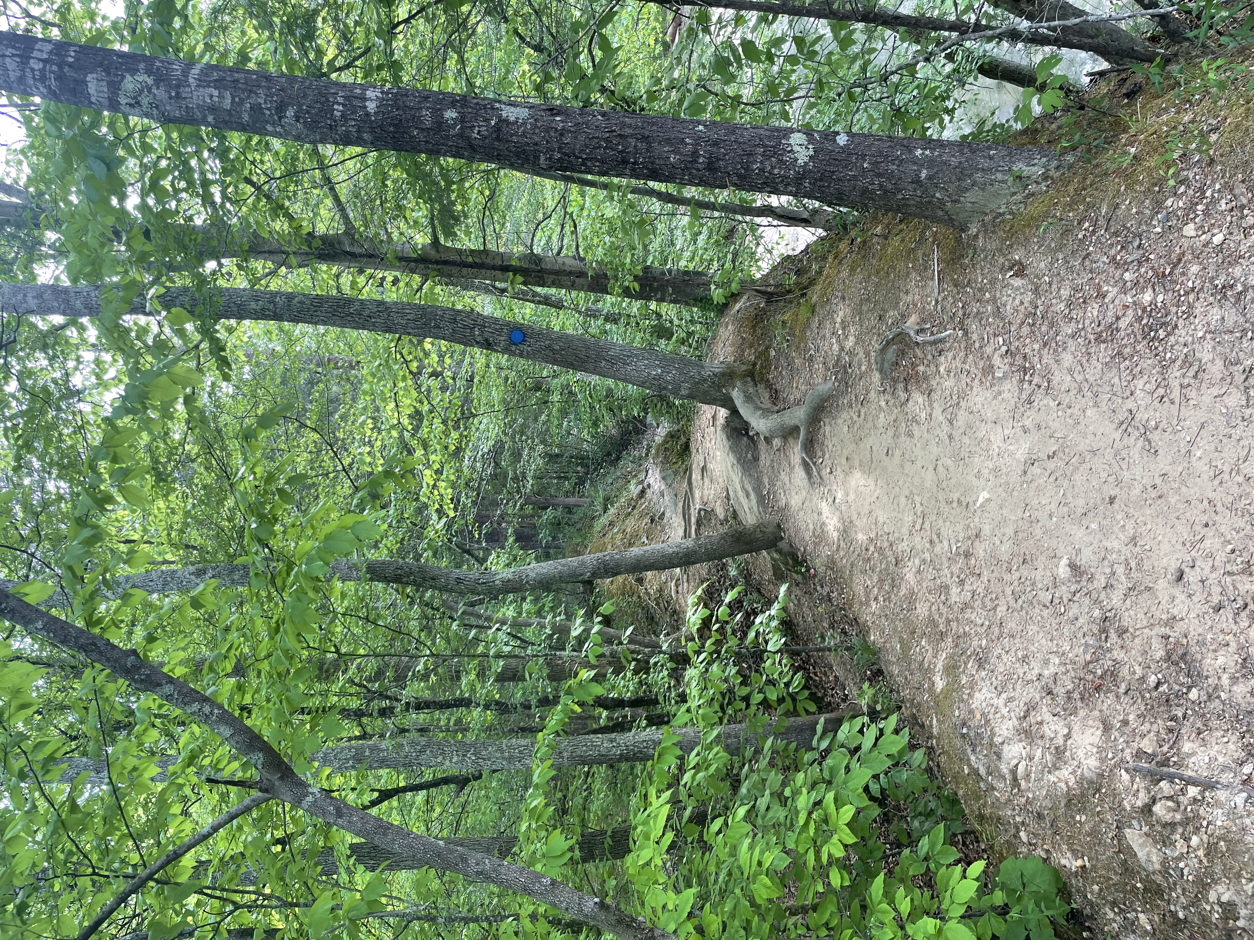 Cabe Lands Trail and Eno Quarry Loop