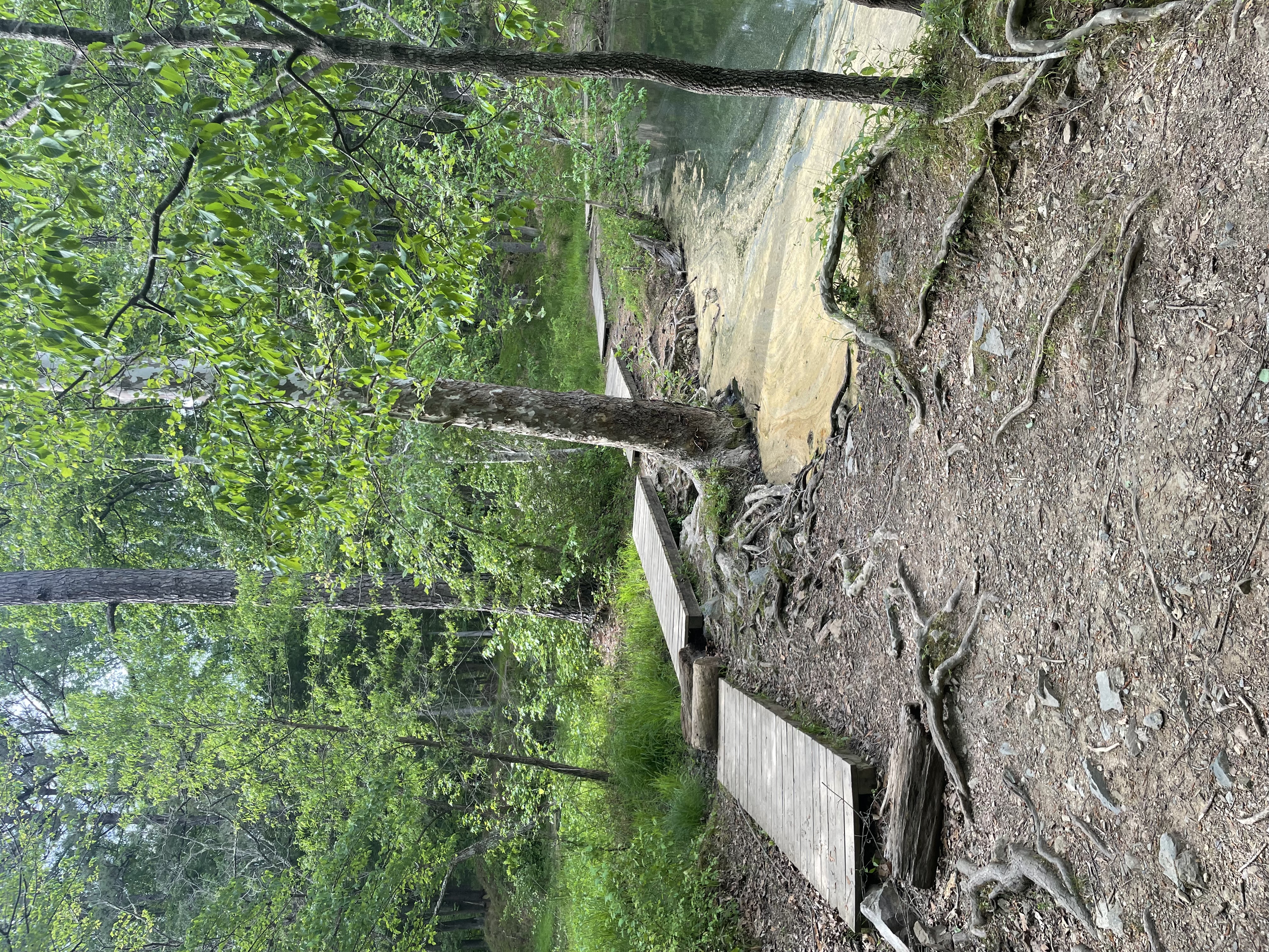 Cabe Lands Trail and Eno Quarry Loop