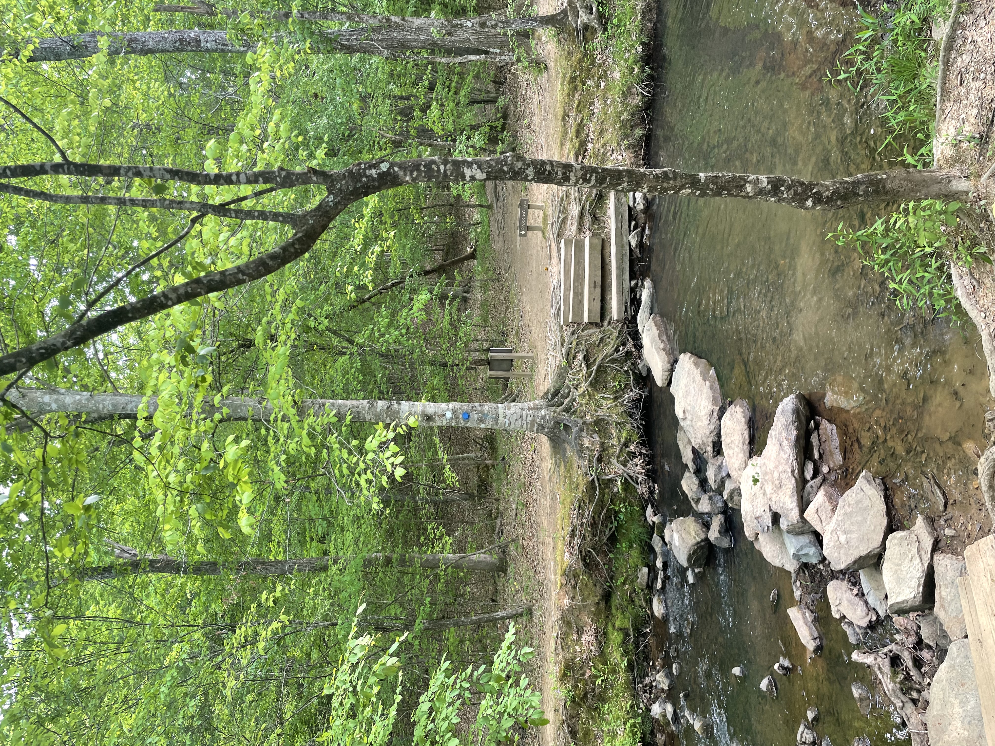 Cabe Lands Trail and Eno Quarry Loop
