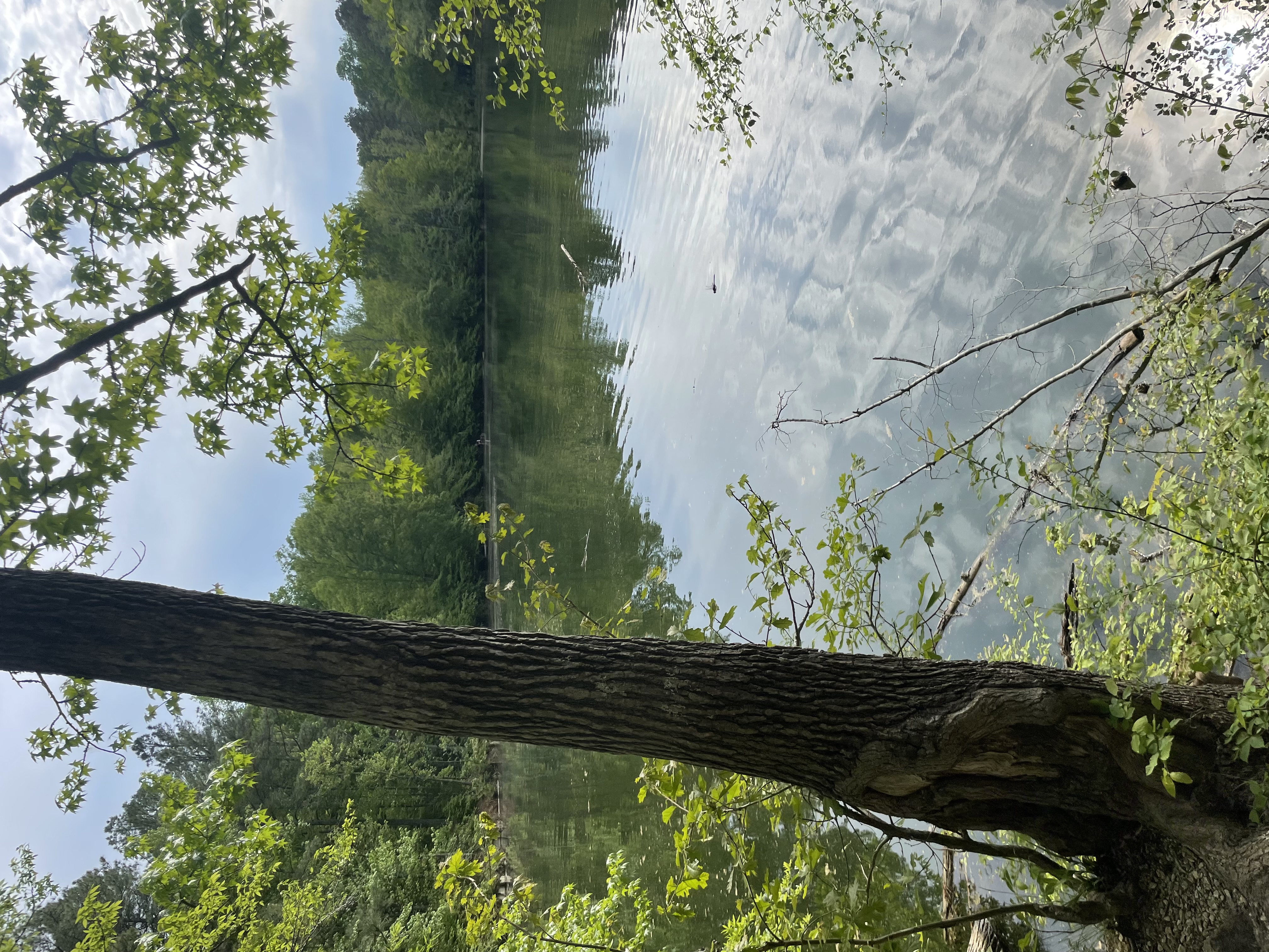 Cabe Lands Trail and Eno Quarry Loop