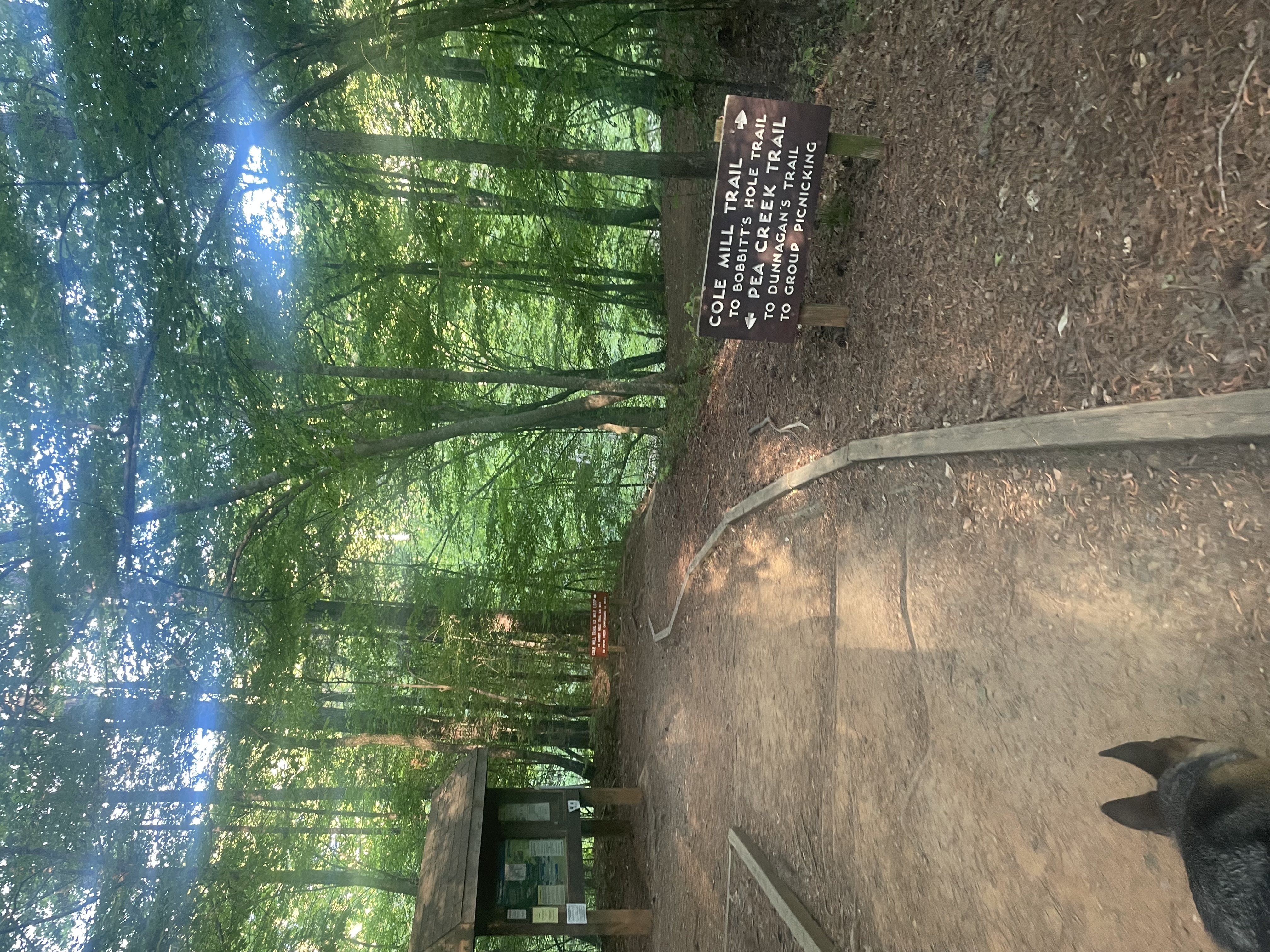 Pea Creek Trail