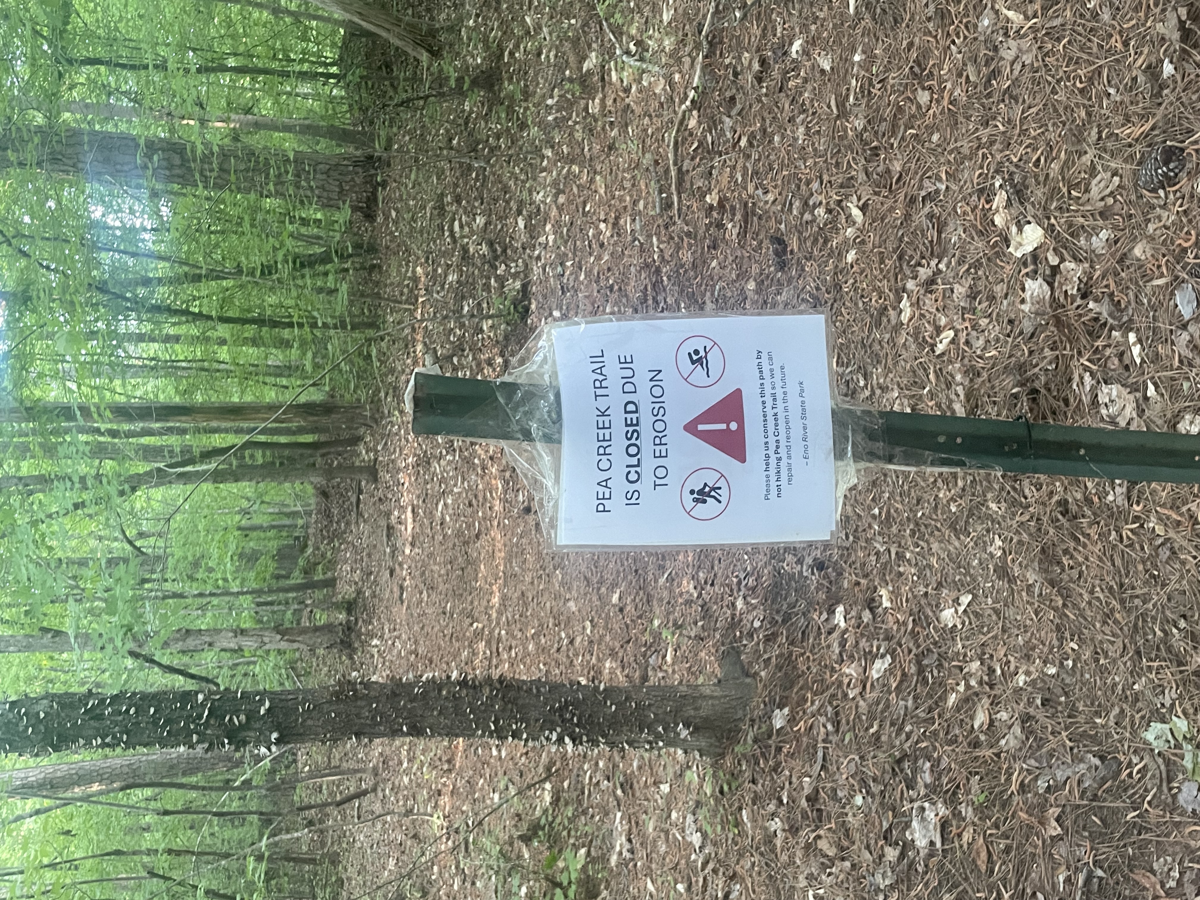 Pea Creek Trail