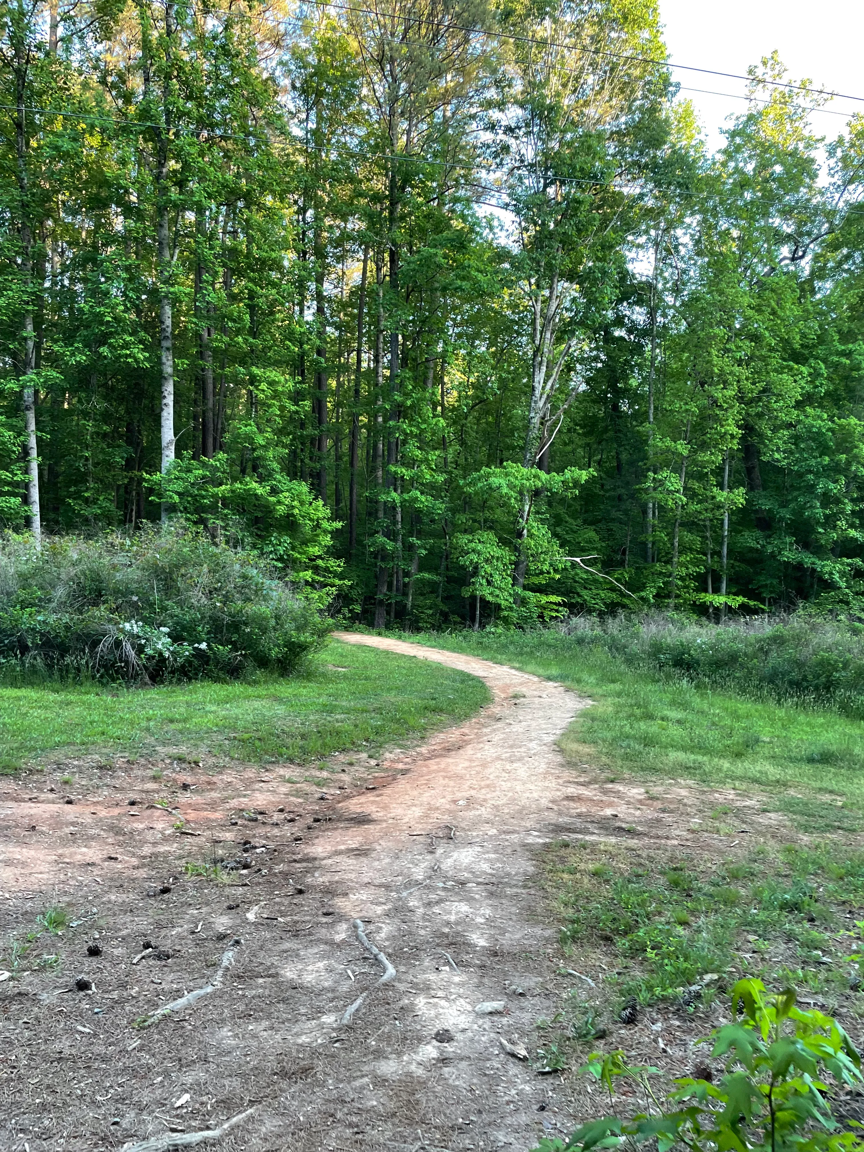 Cole Mill Trail