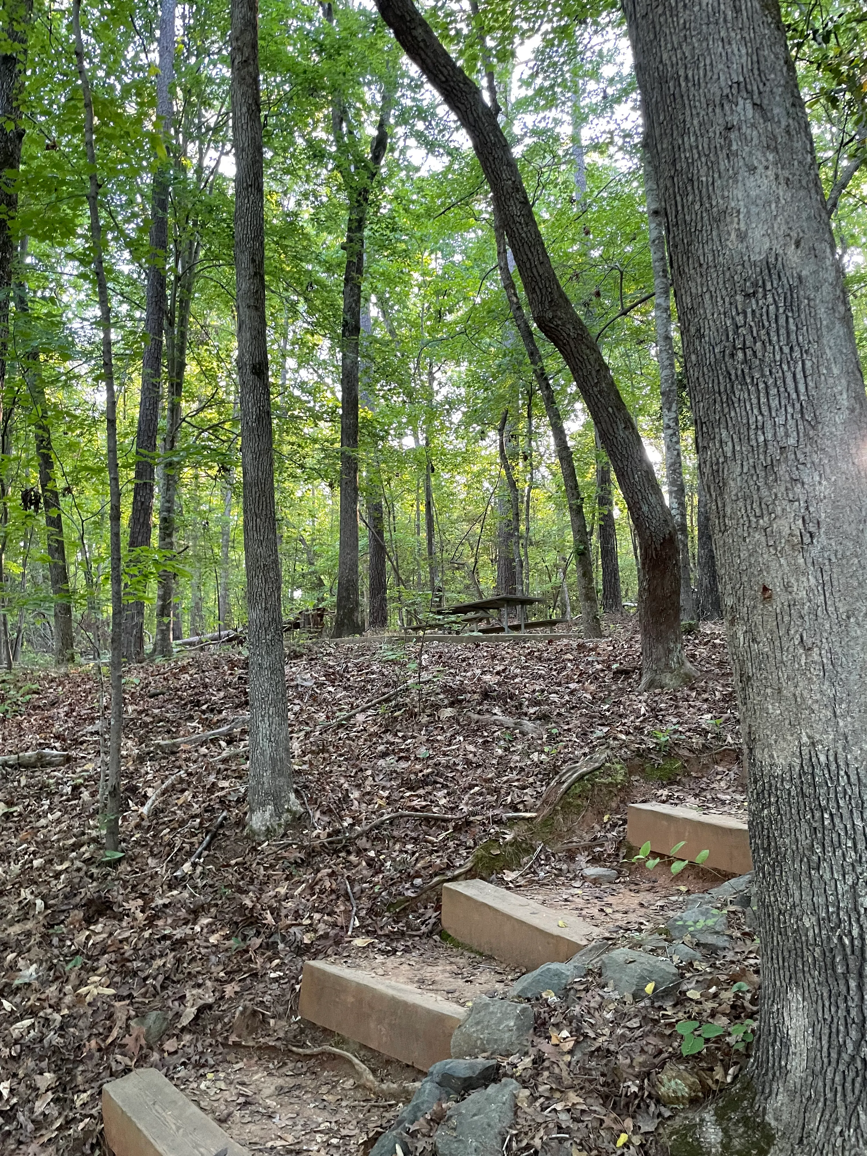 Cole Mill Trail