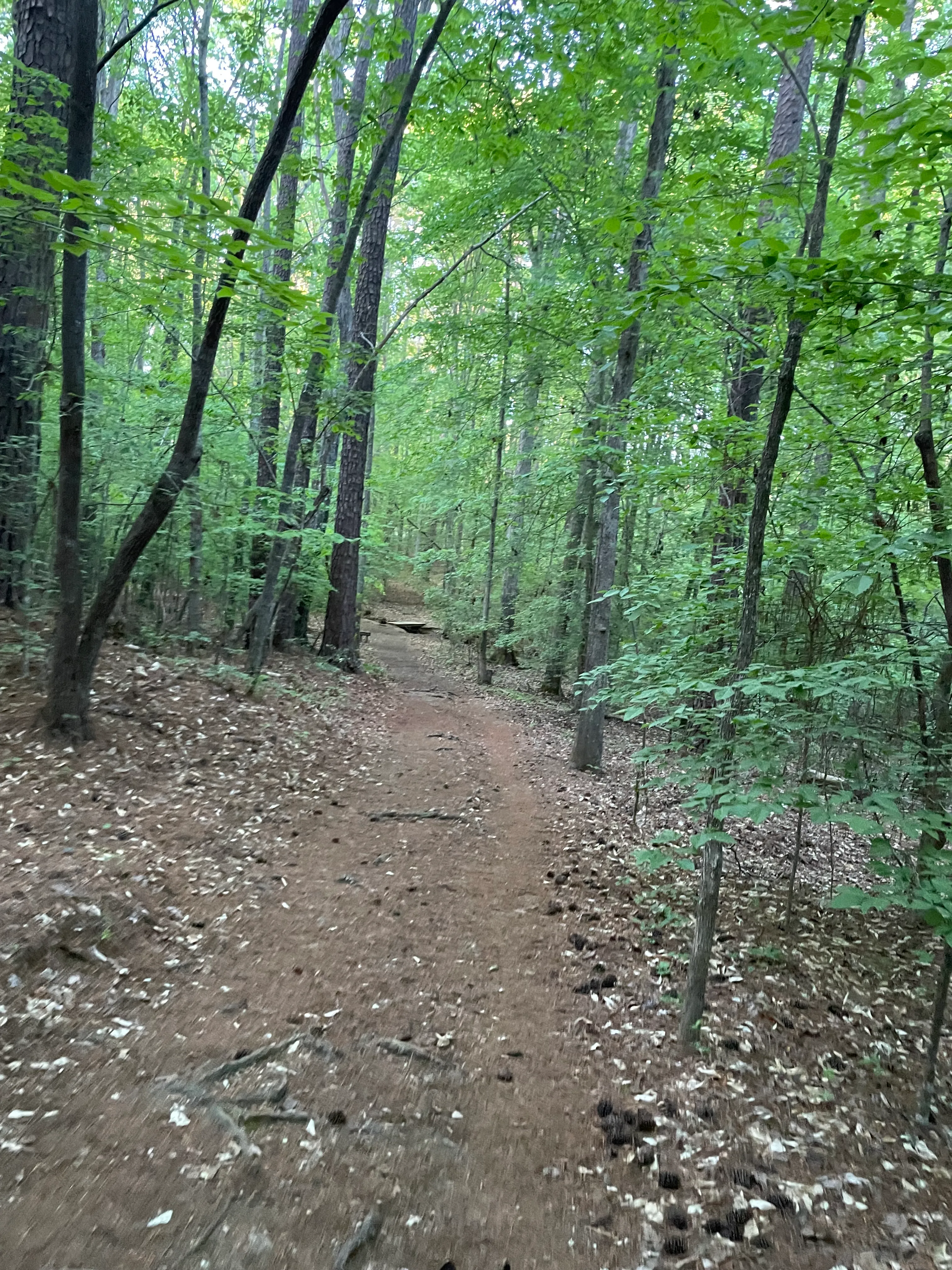 Cole Mill Trail