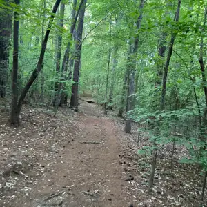 Cole Mill Trail