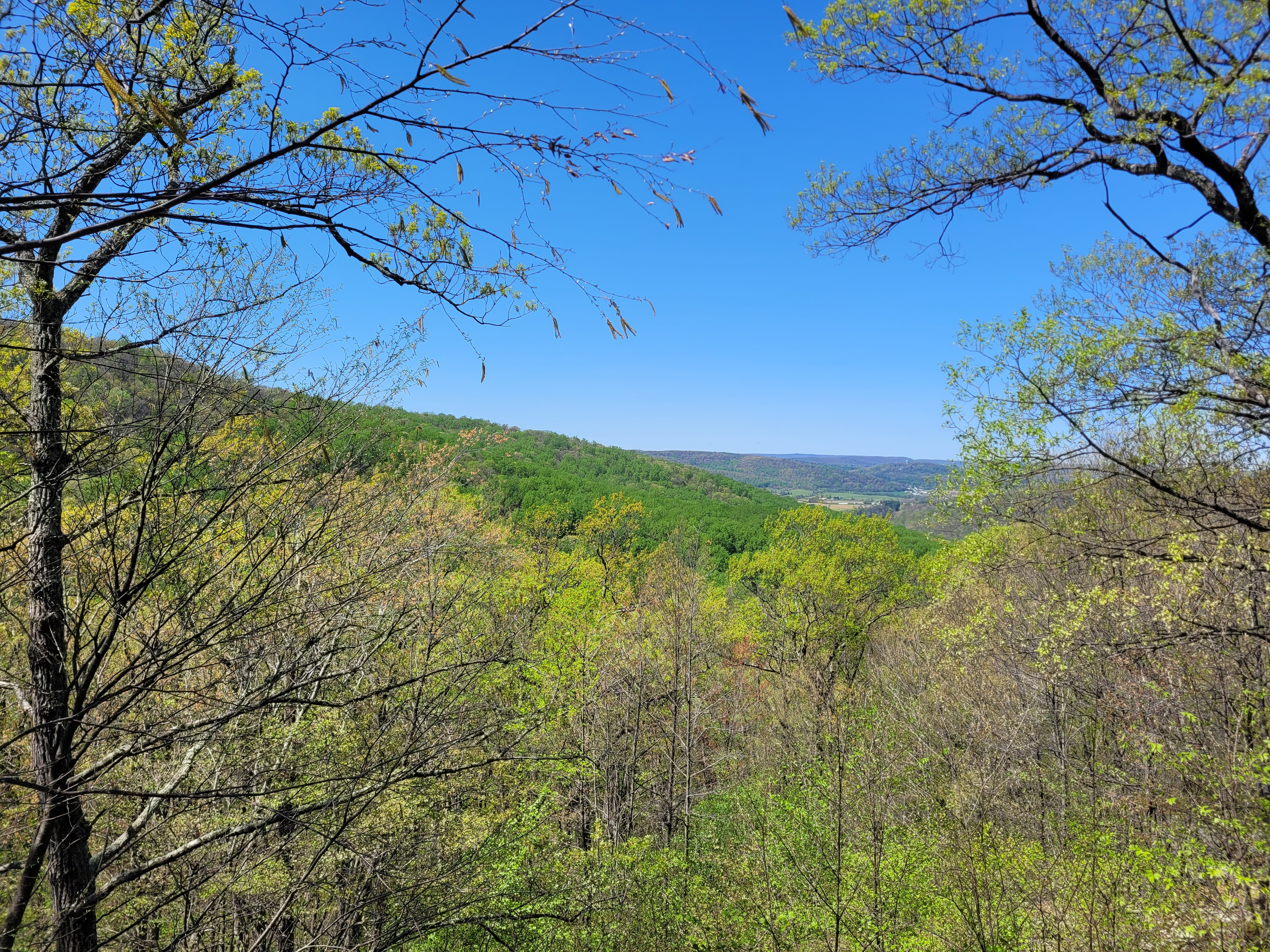 Hike Catoctin Mountain 