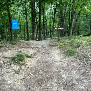West Ellerbee Creek Trail