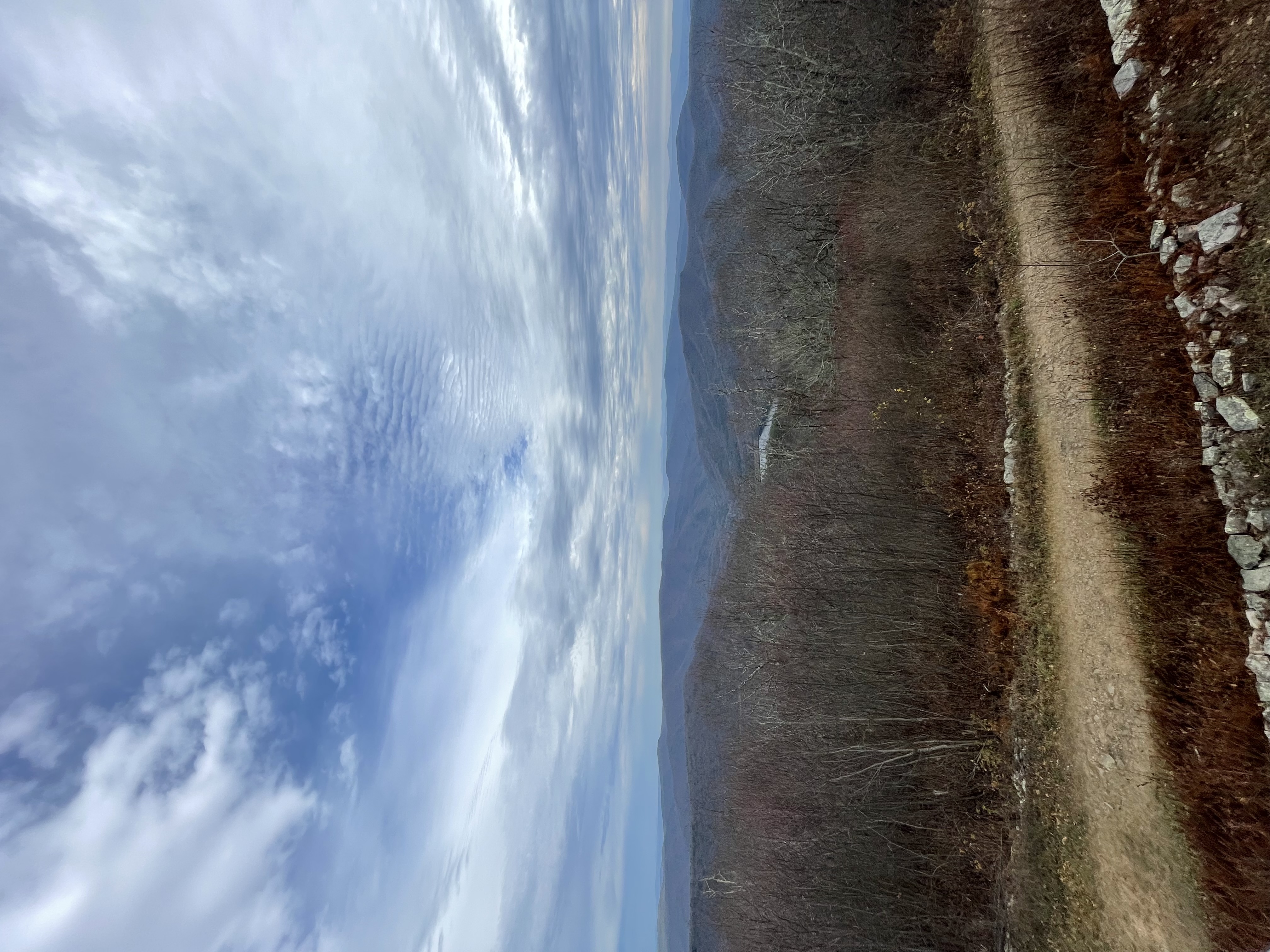 High Knob Tower Trail