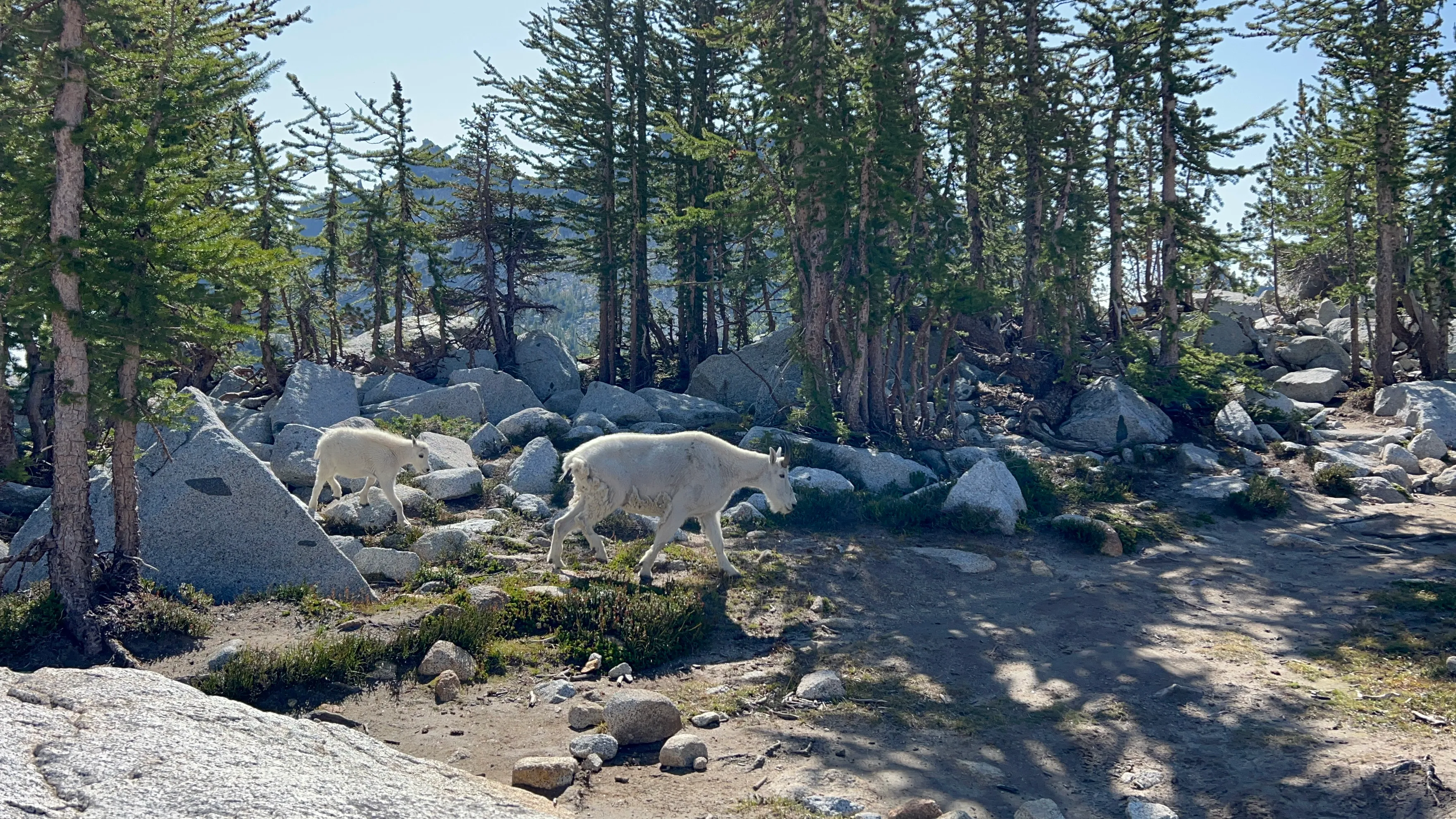 Day Hike the Enchantments
