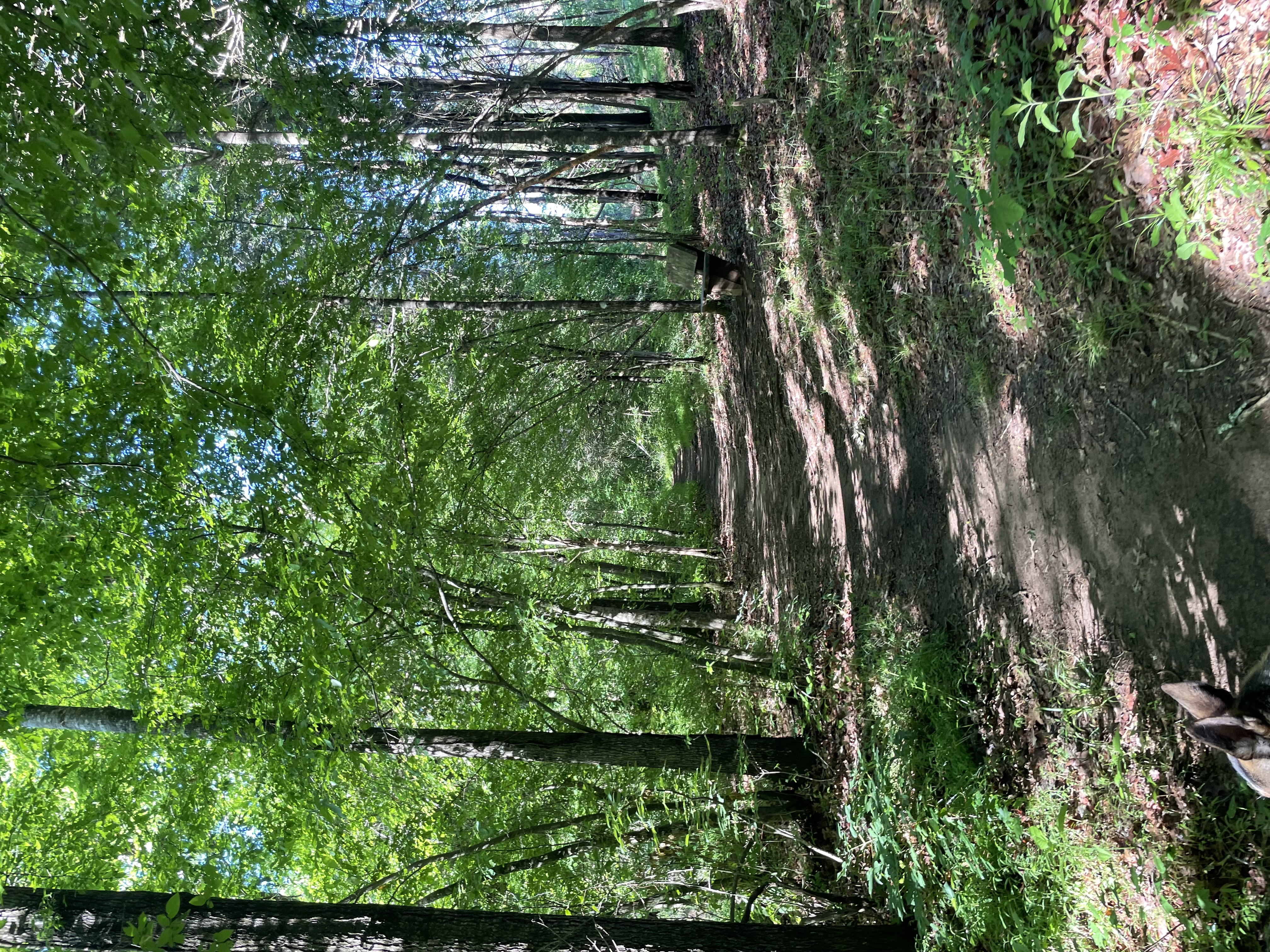Penny's Bend