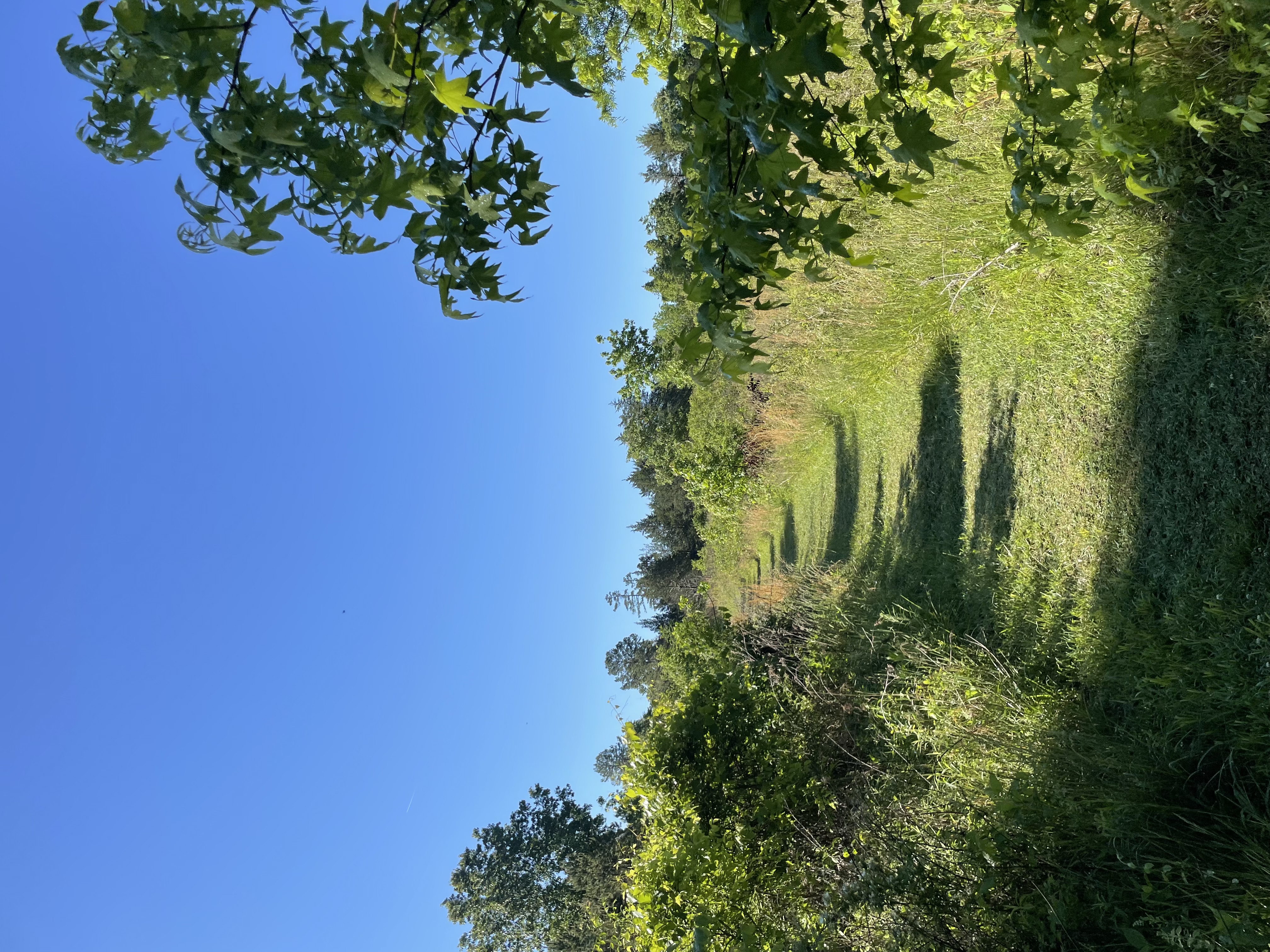 Penny's Bend