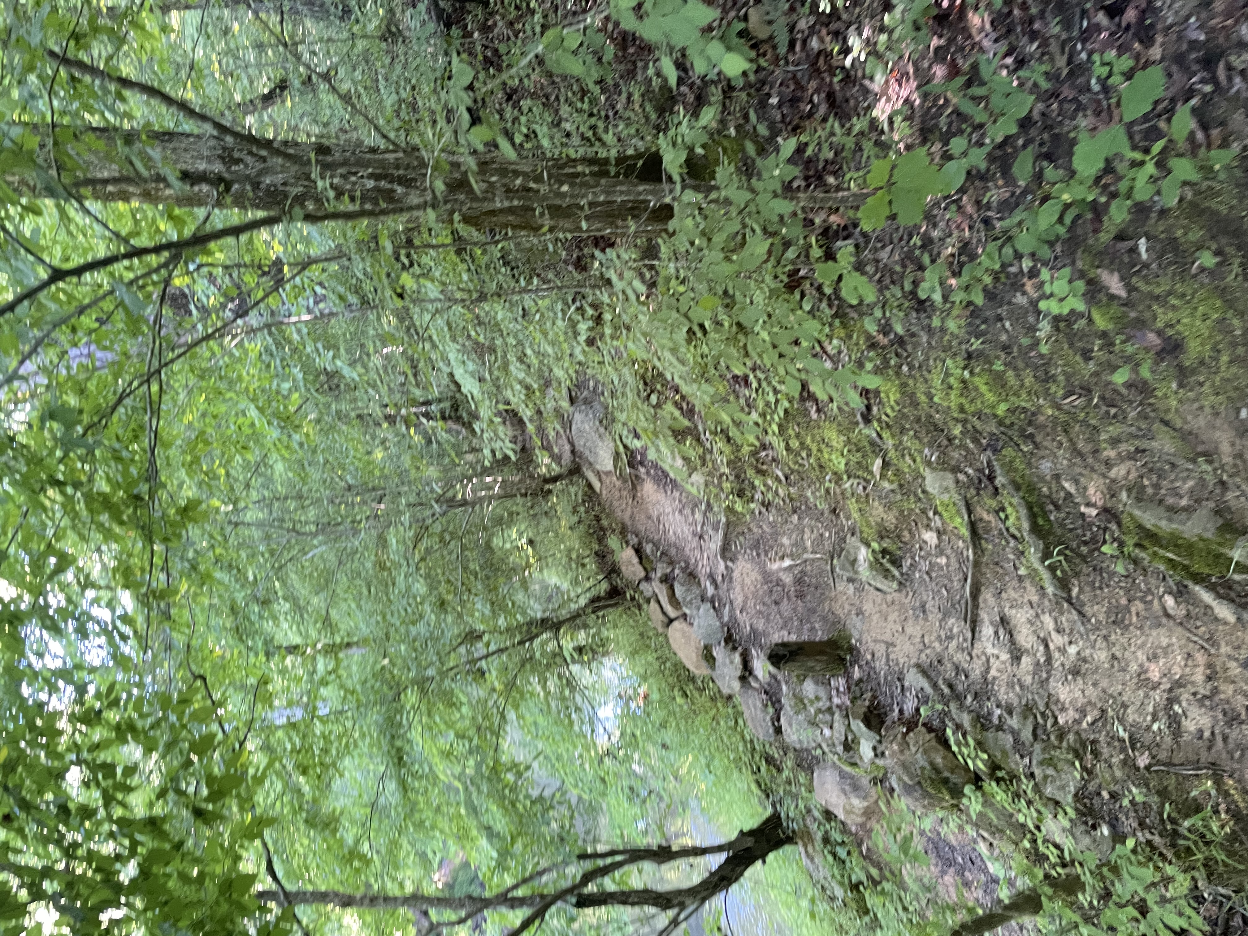 Penny's Bend