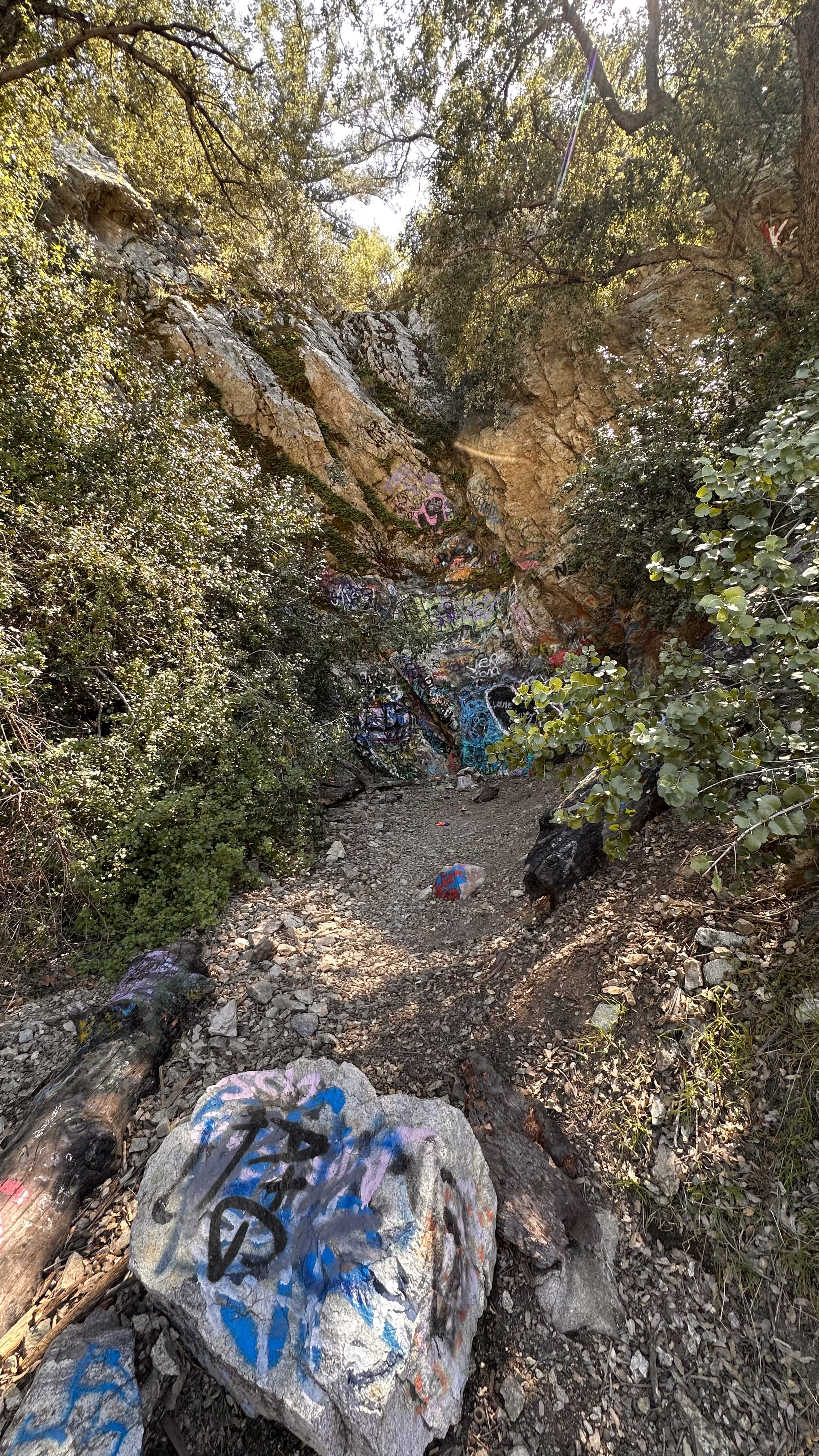 Bonita Falls Trail