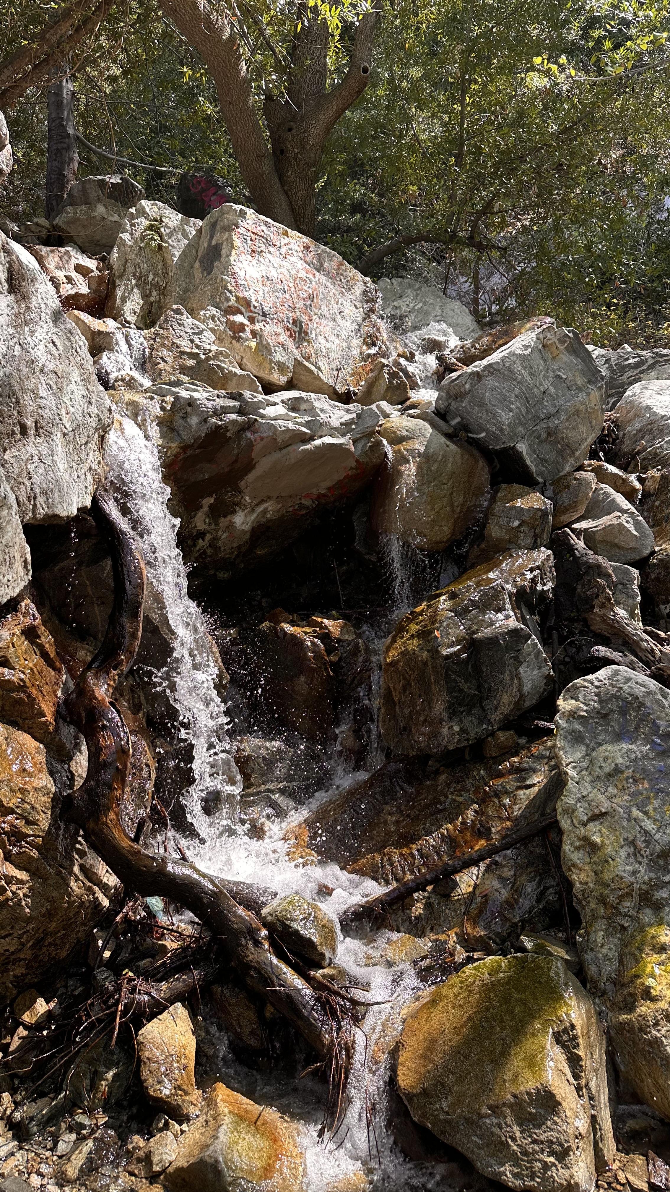 Bonita Falls Trail