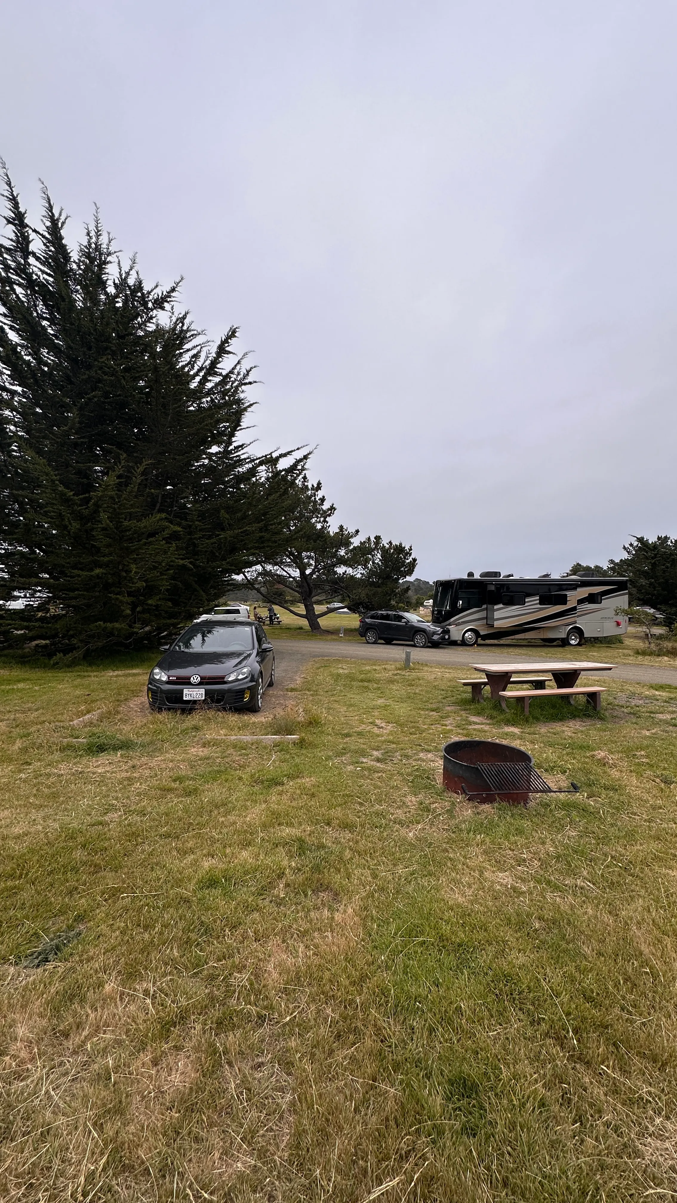 Camp at San Simeon State Park
