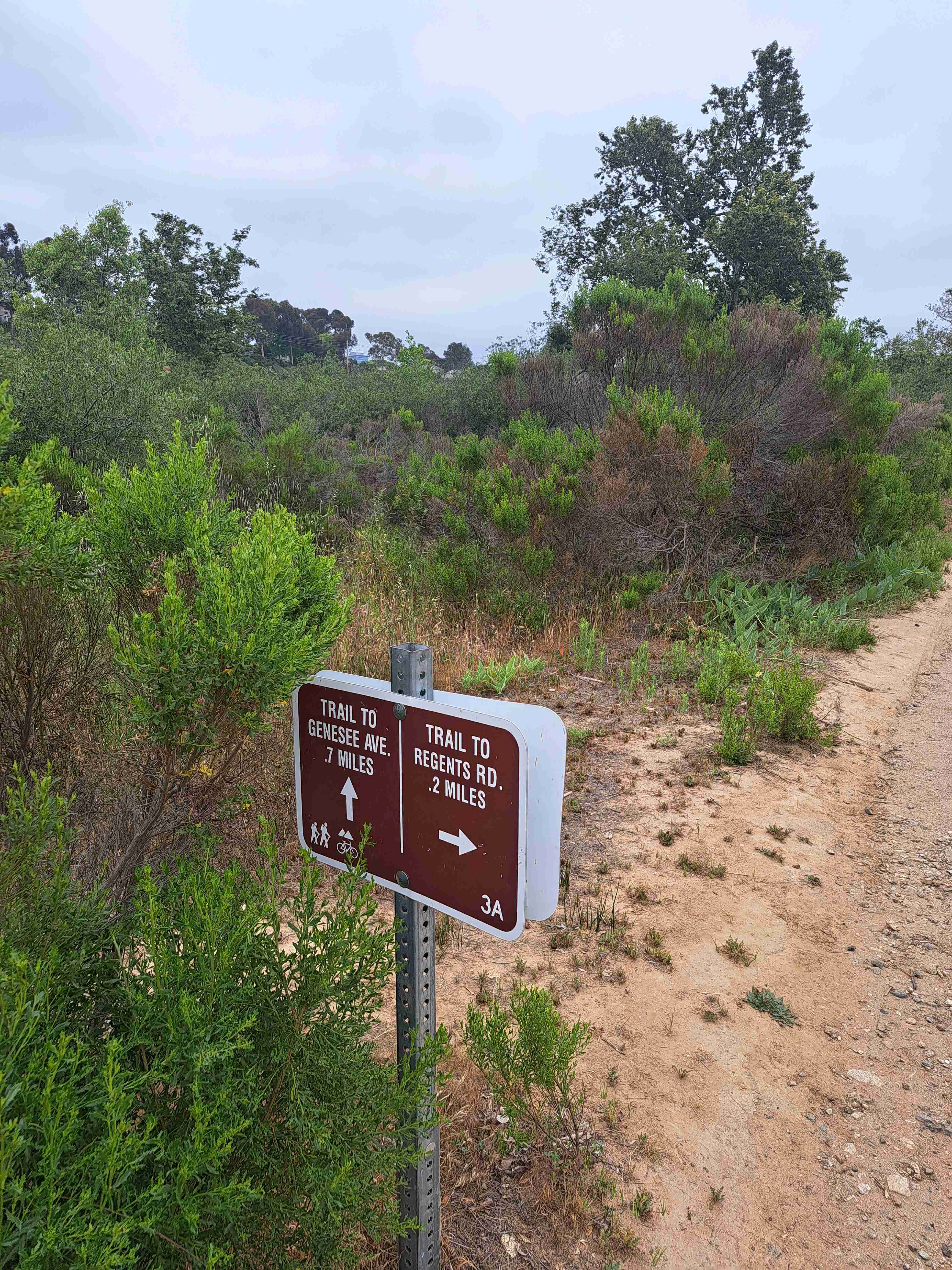 Rose Canyon Trail 