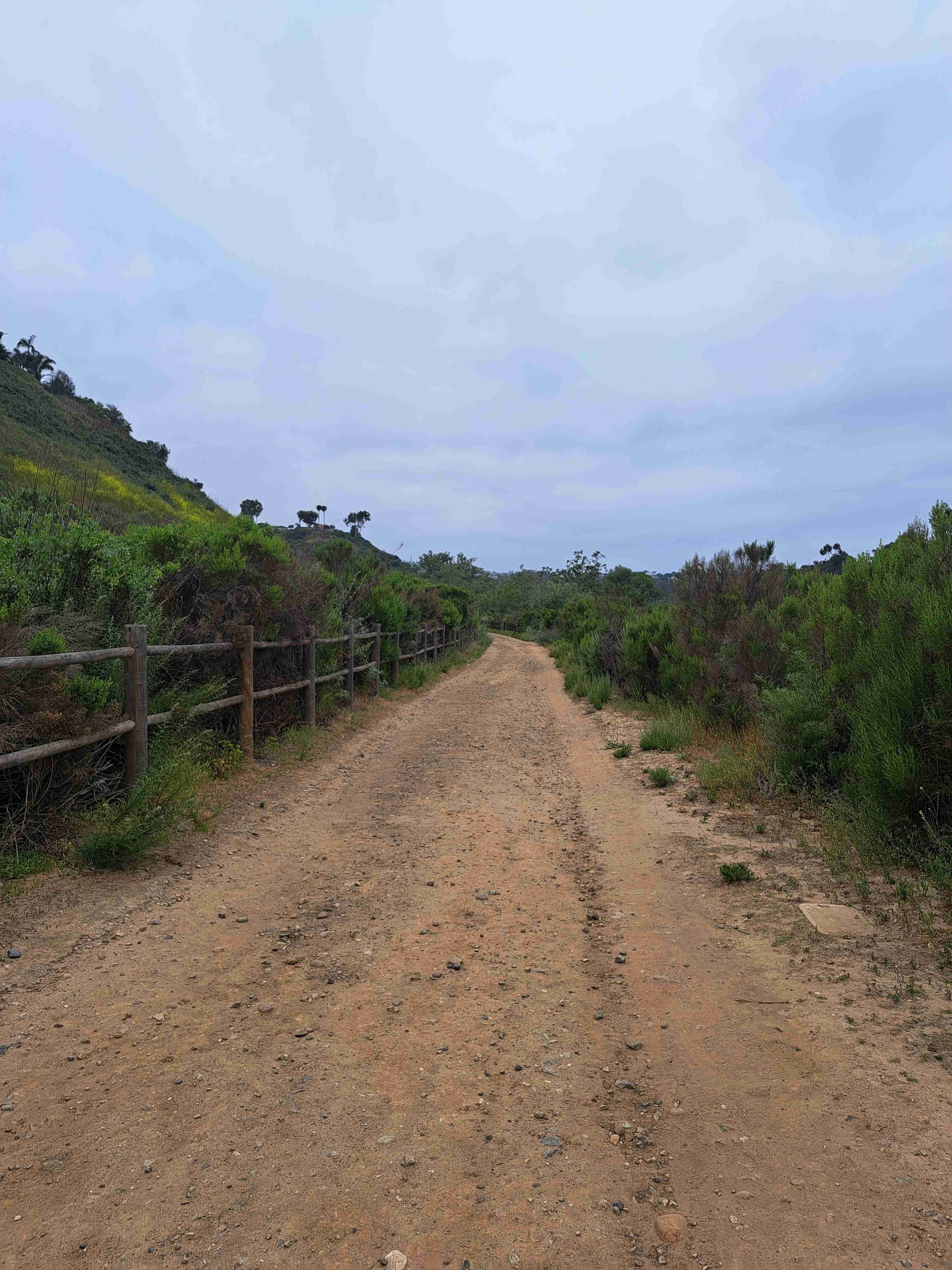 Rose Canyon Trail 