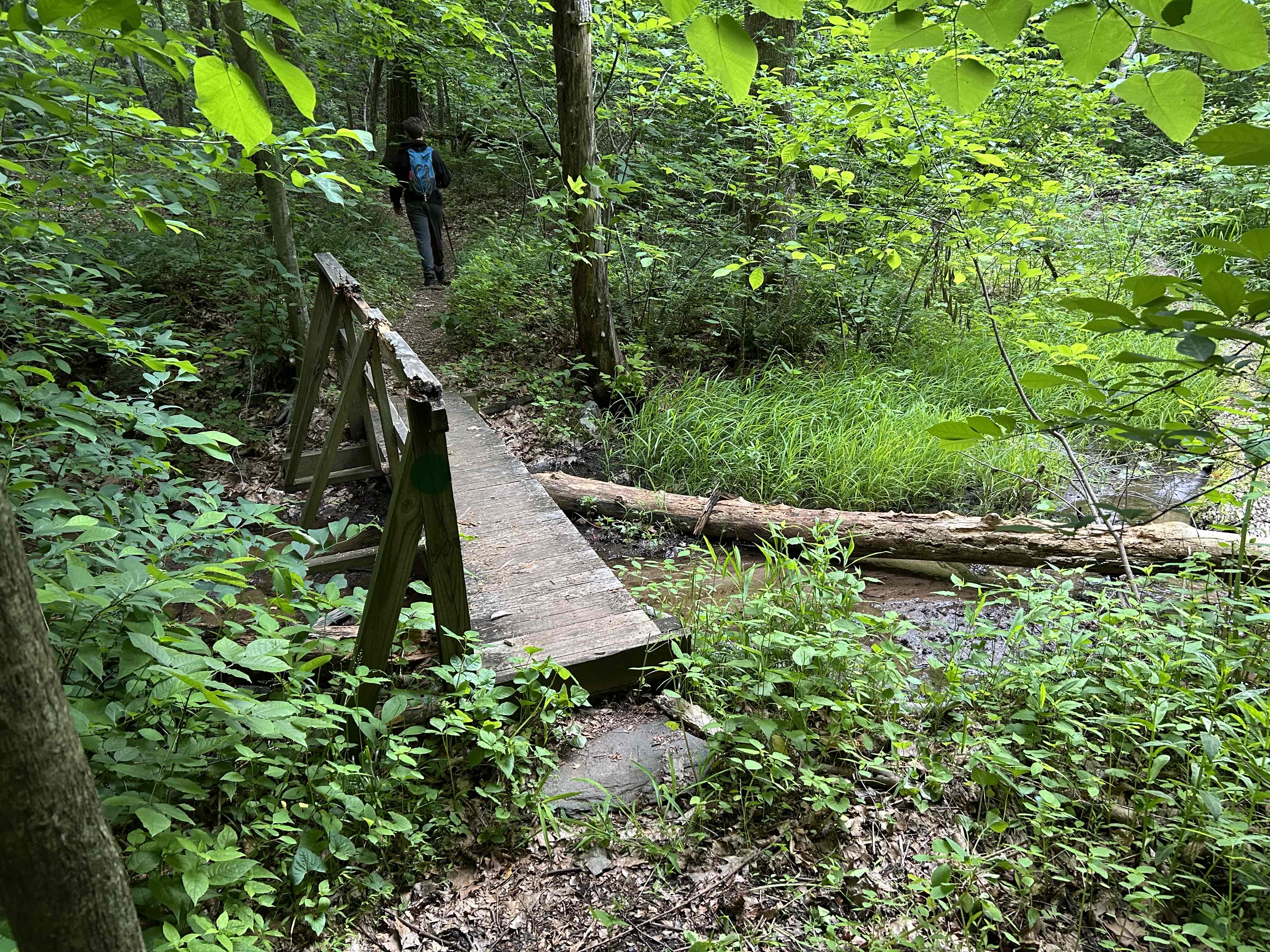 Hike Rock Castle Gorge