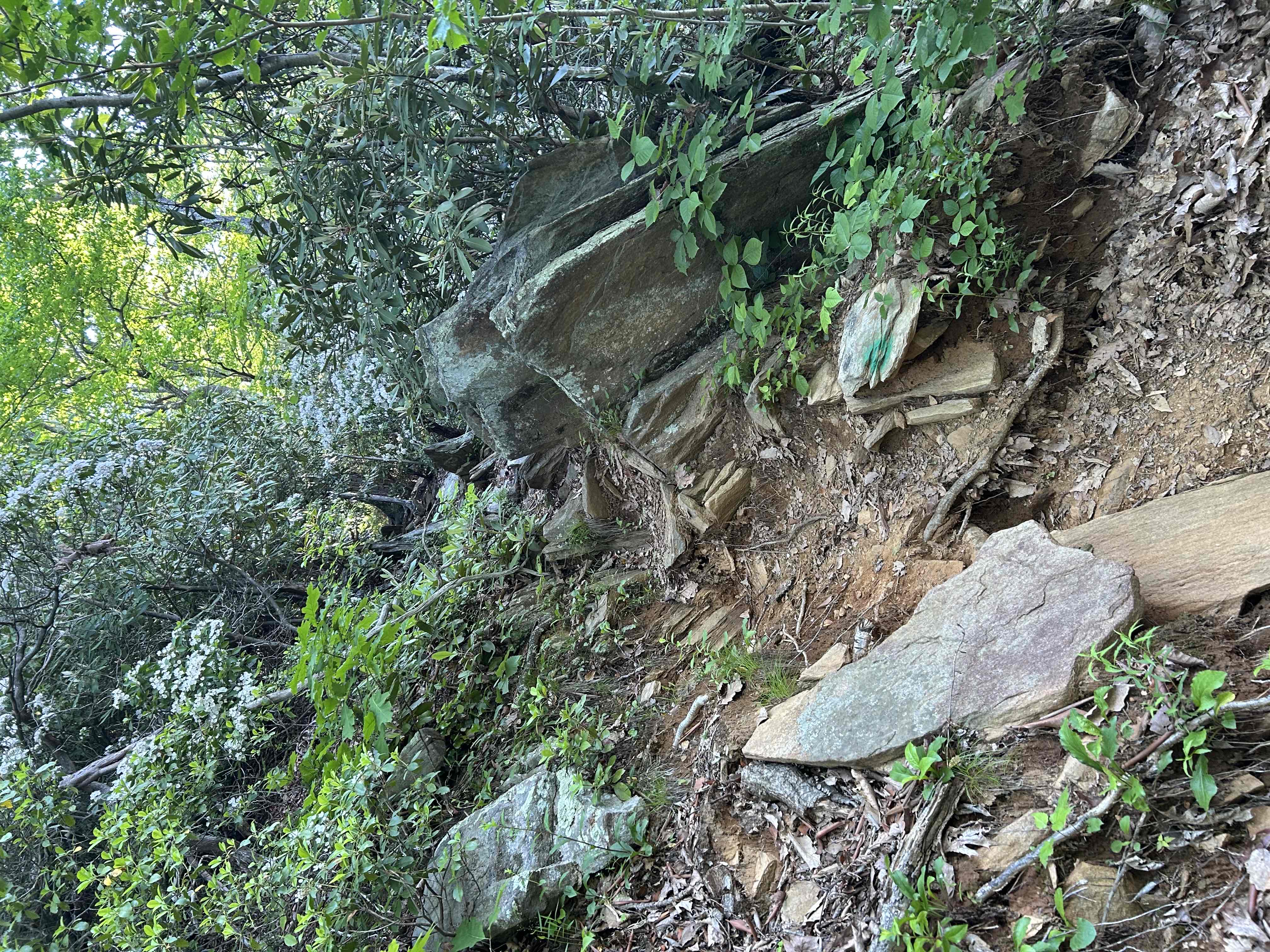 Hike Rock Castle Gorge
