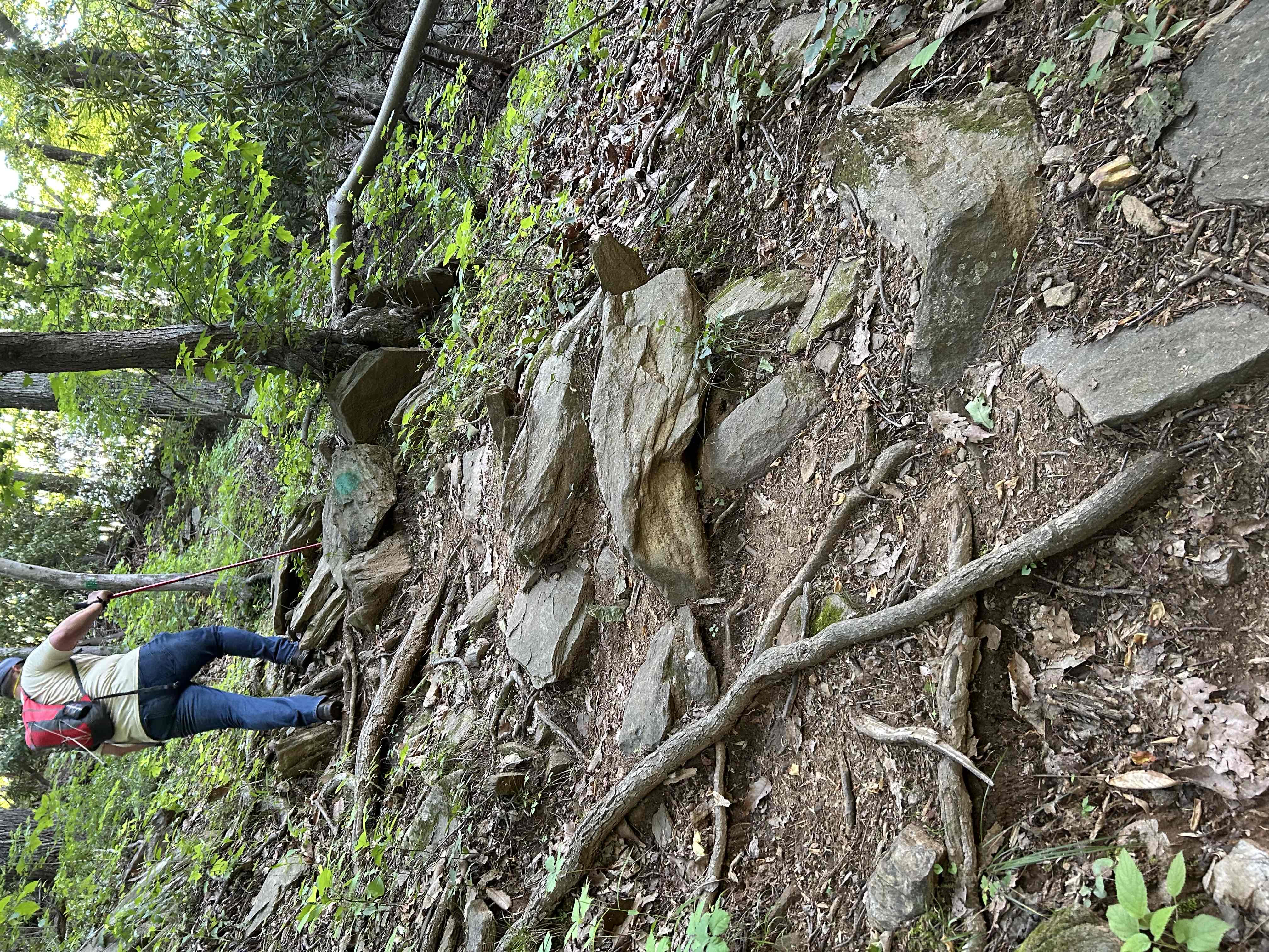 Hike Rock Castle Gorge