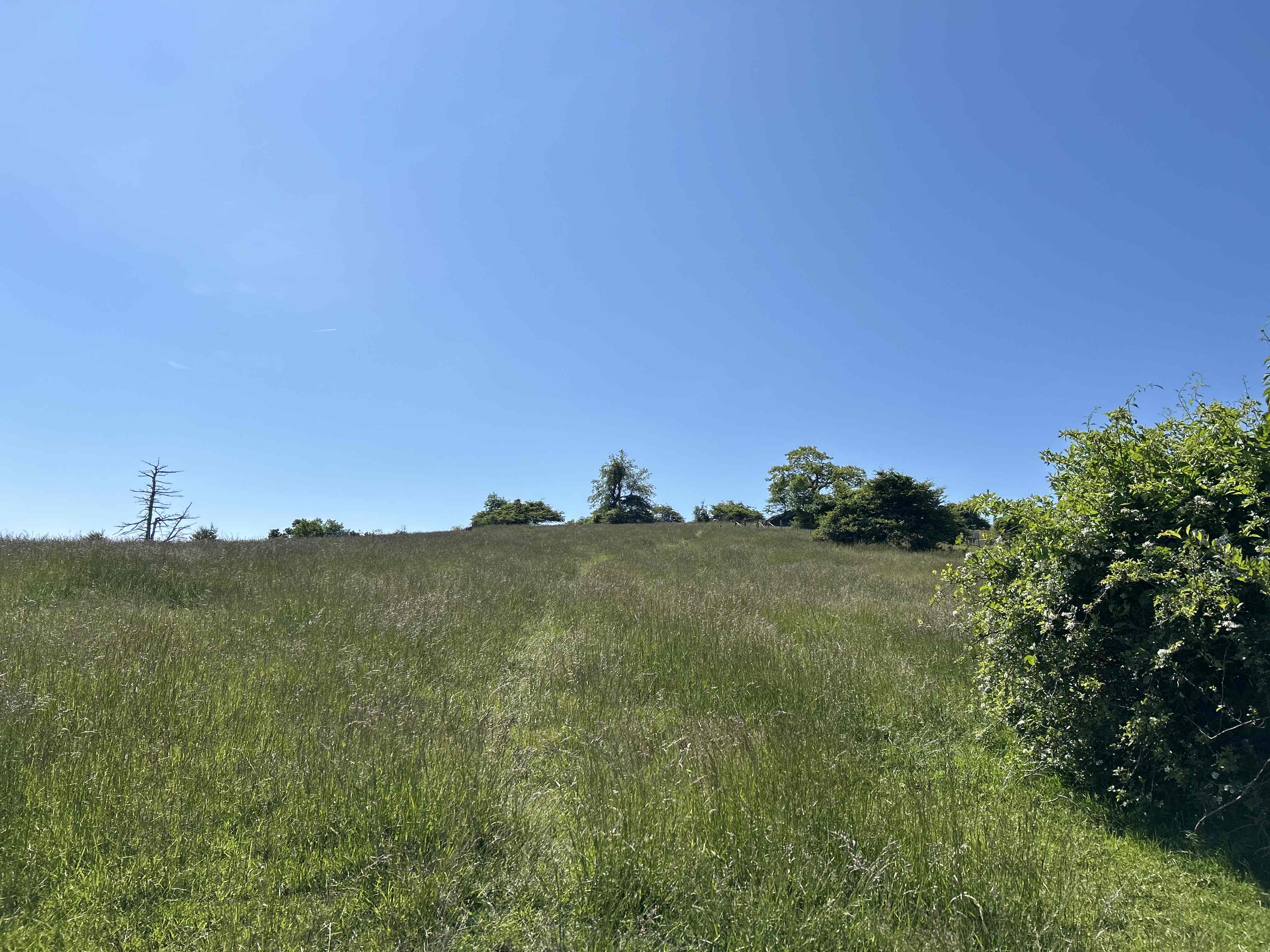 Hike Rock Castle Gorge