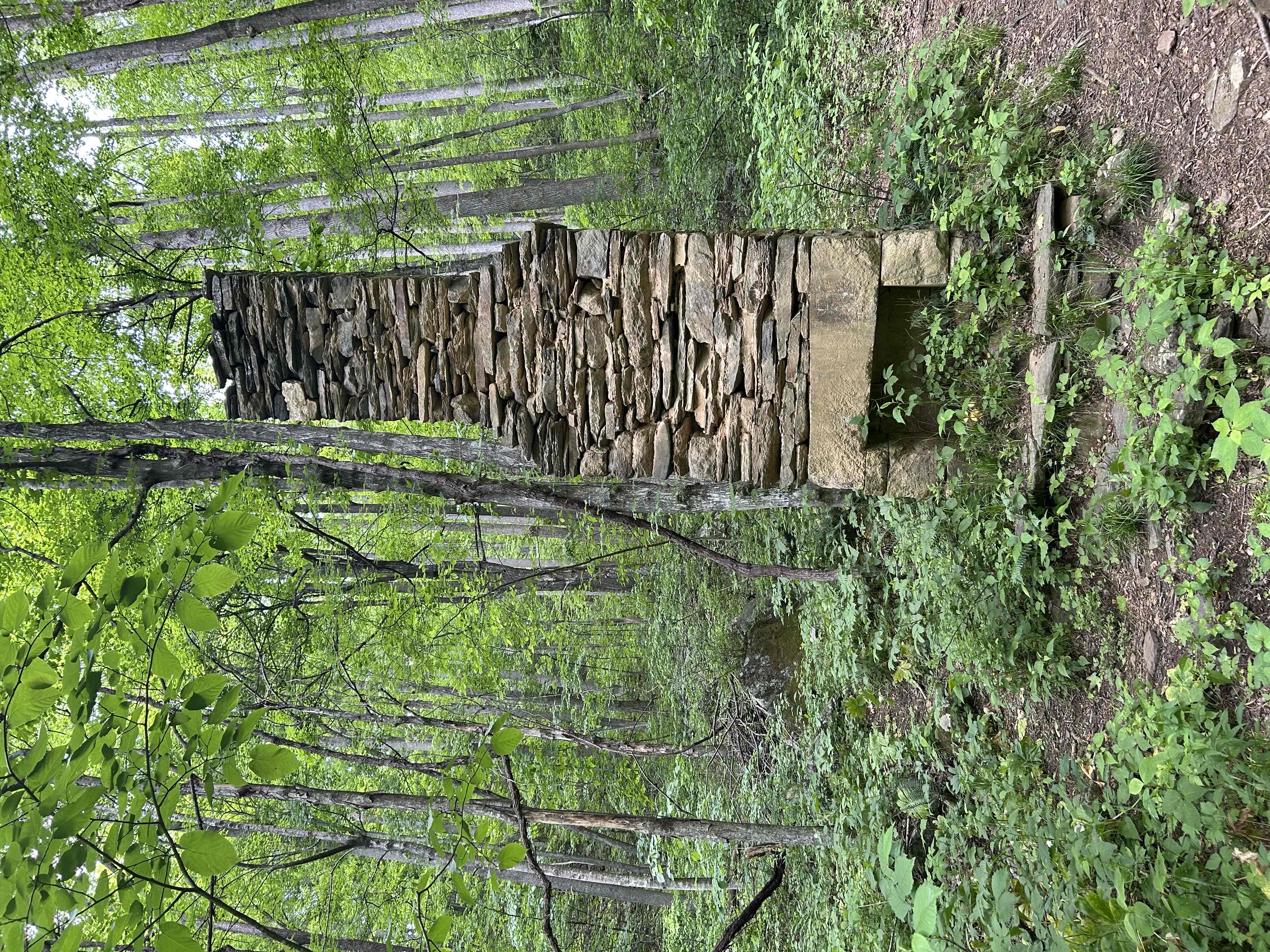 Hike Rock Castle Gorge