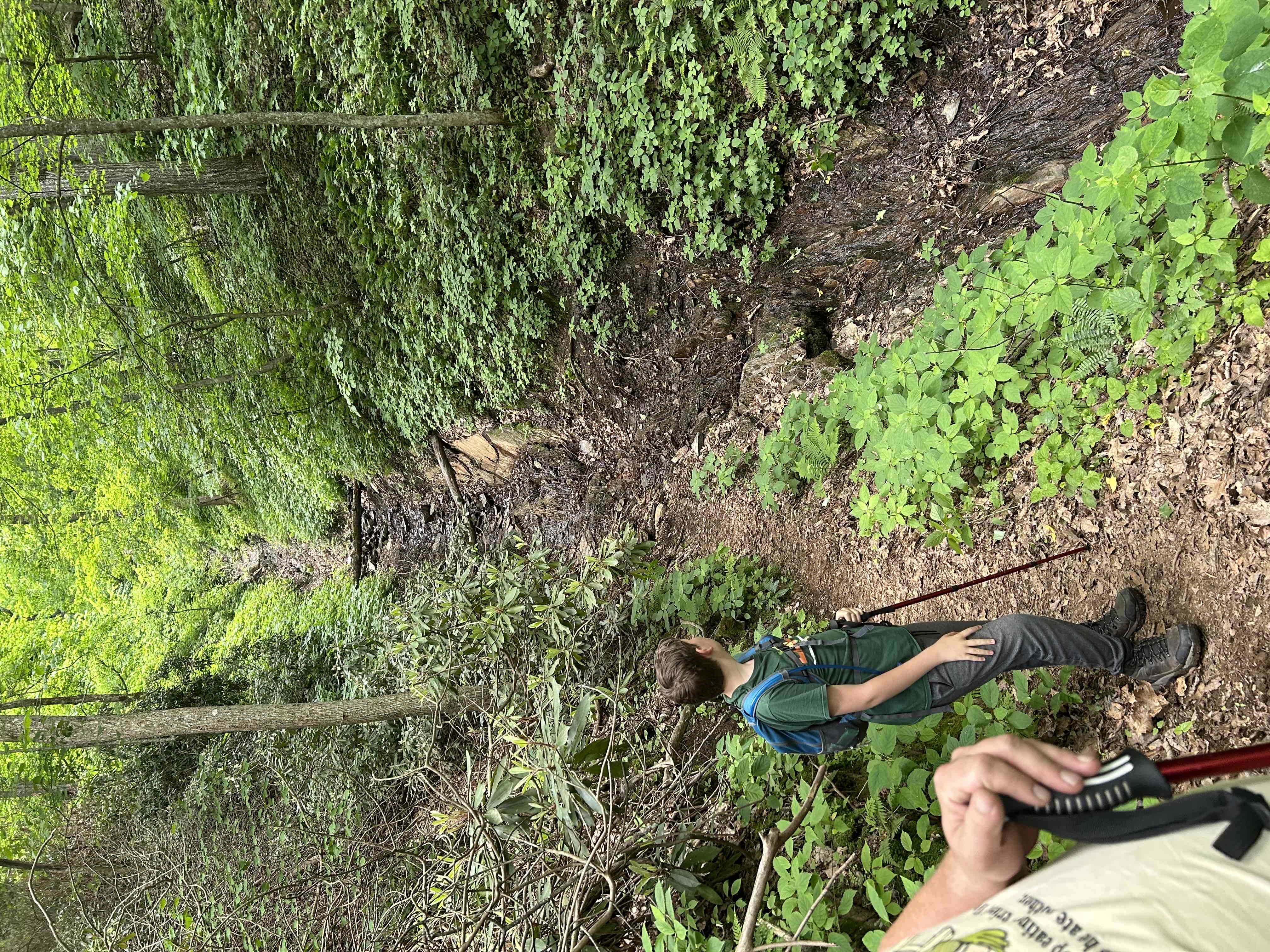 Hike Rock Castle Gorge