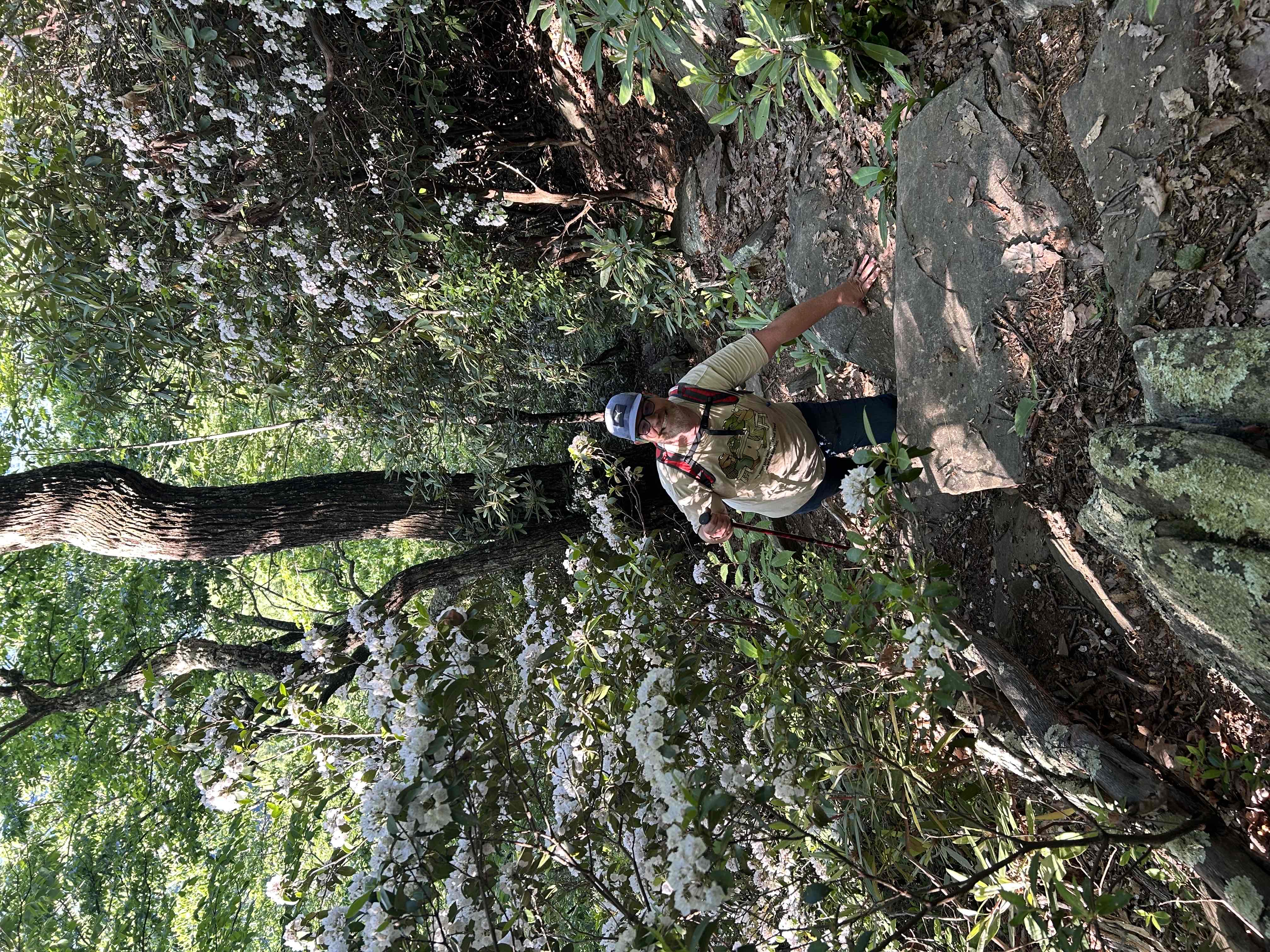 Hike Rock Castle Gorge