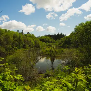 Rood Bridge Park