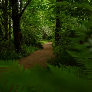 Tualatin River Refuge River Trail