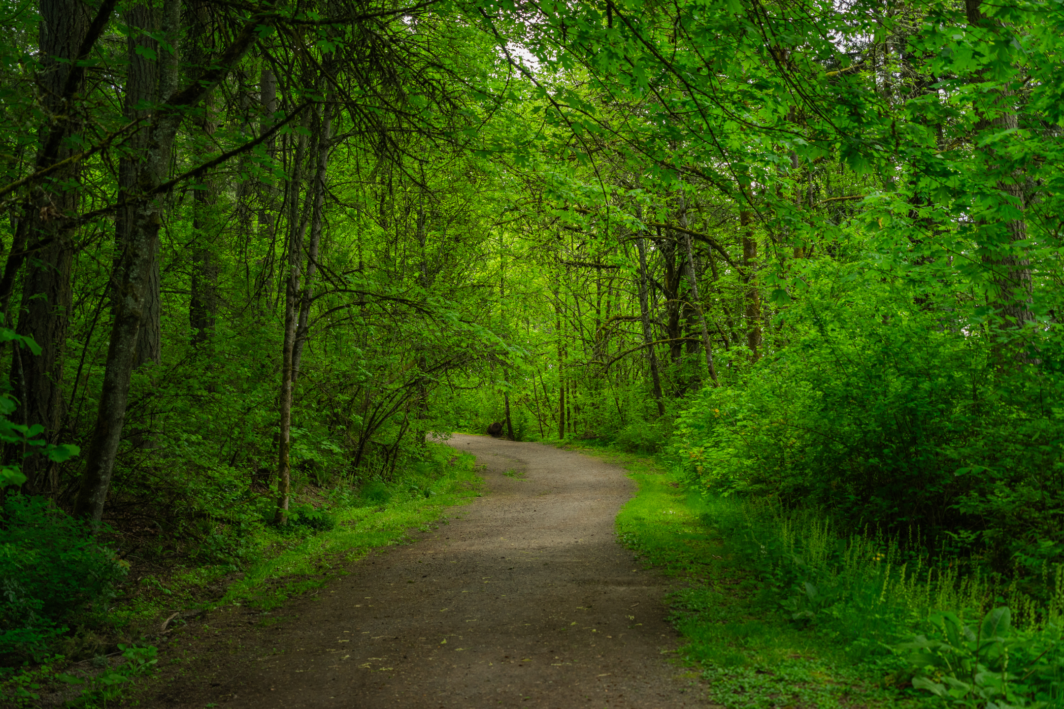 Jenkins Estate Trails Loop