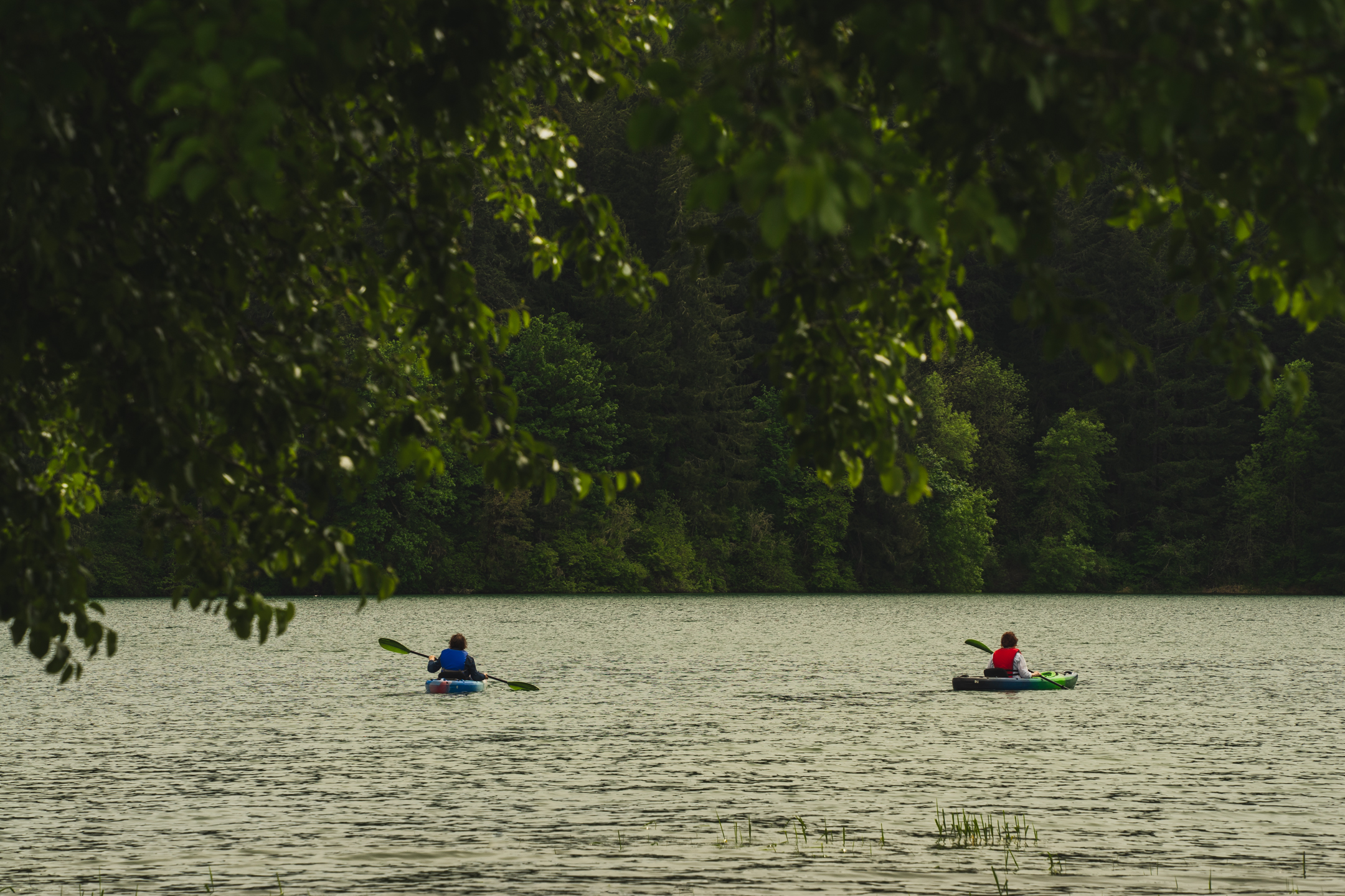 Hagg Lake