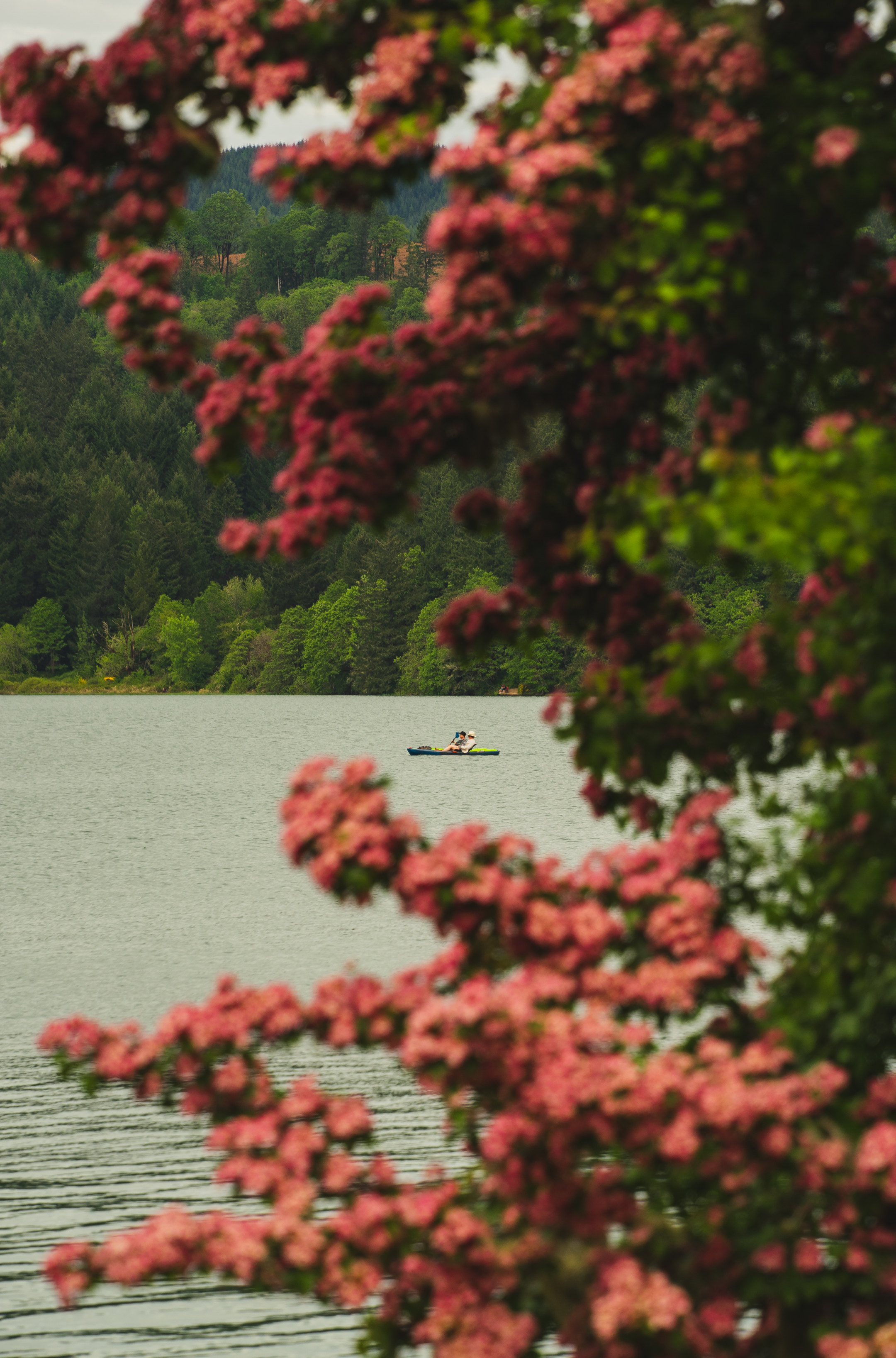 Hagg Lake