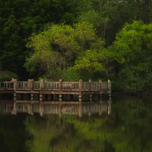 Commonwealth Lake Park