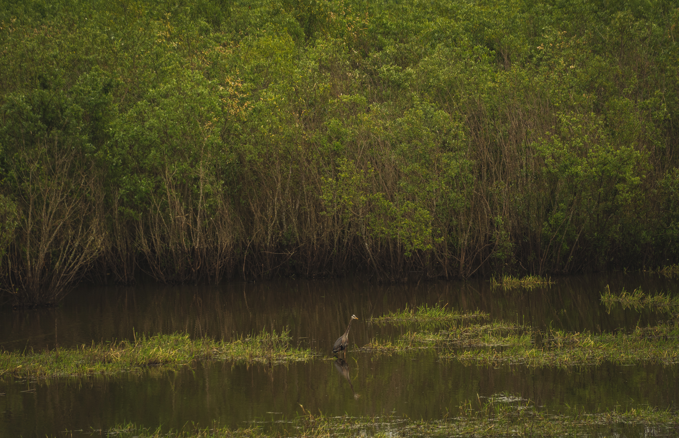 Wapato Lake National Wildlife Refuge Trail