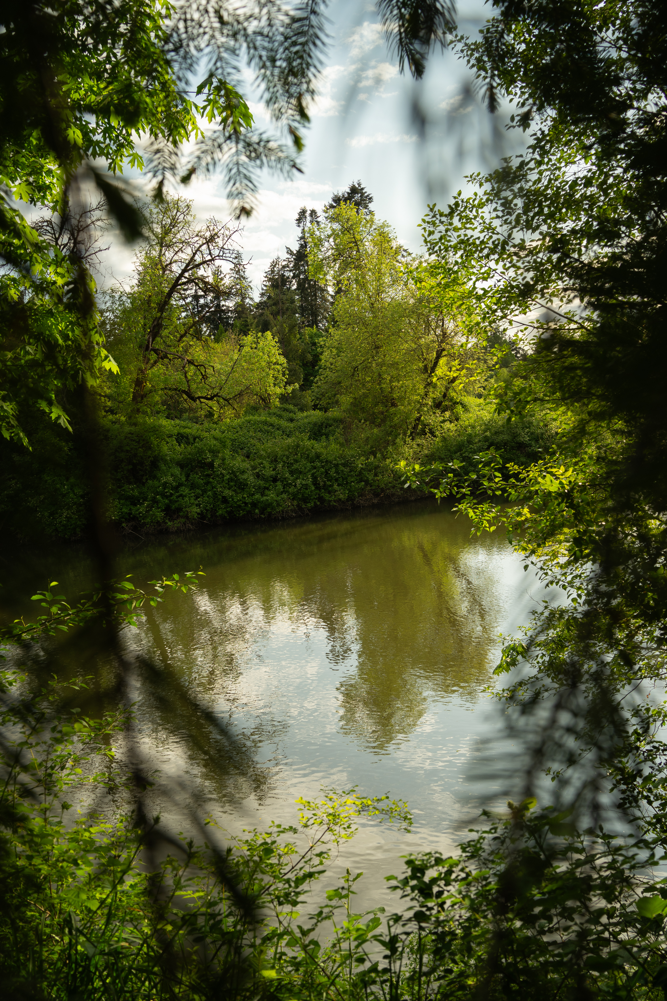 Tualatin River Trail
