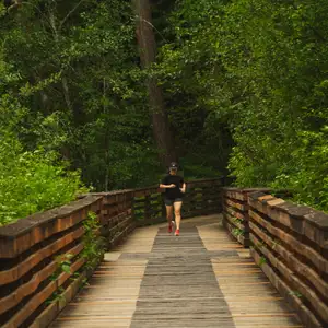 Rock Creek Trail: Cherry Lane Trailhead to Rock Creek Park